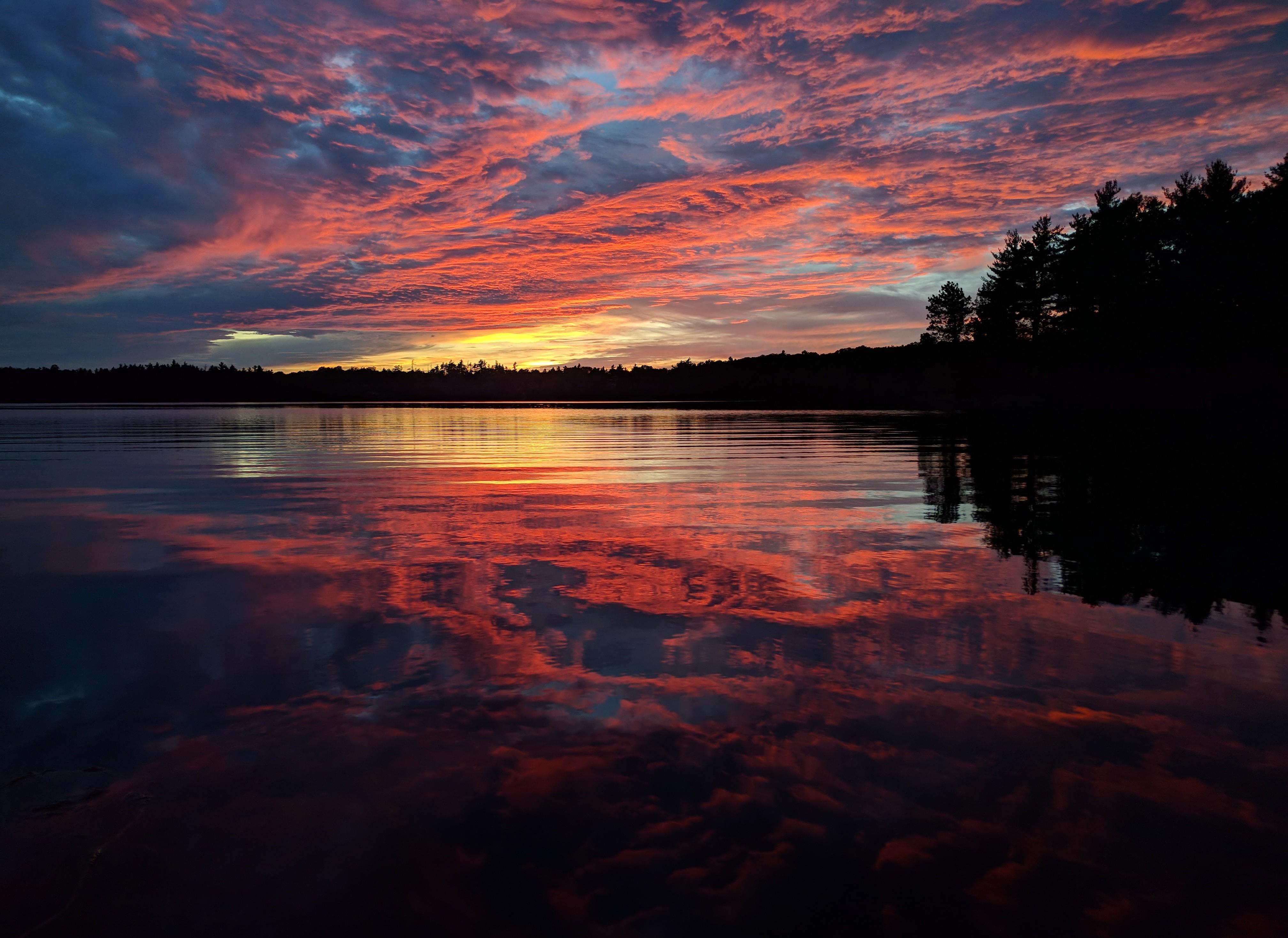 Sky ablaze at the cottage backyard in Buck Lake, Ontario [OC