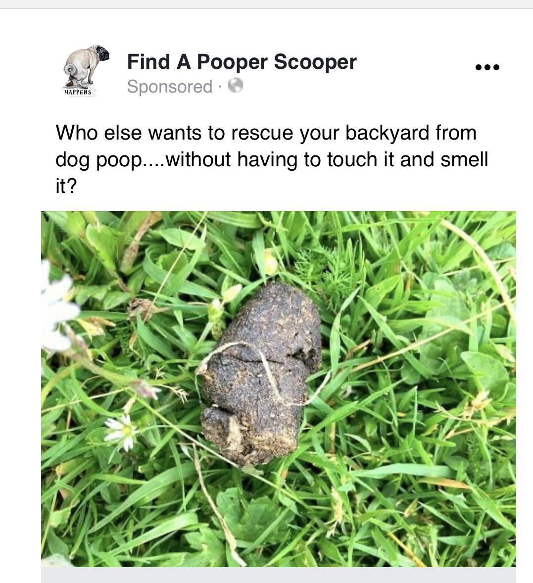 How would you beat this control? (It’s for a dog pooper scooper service