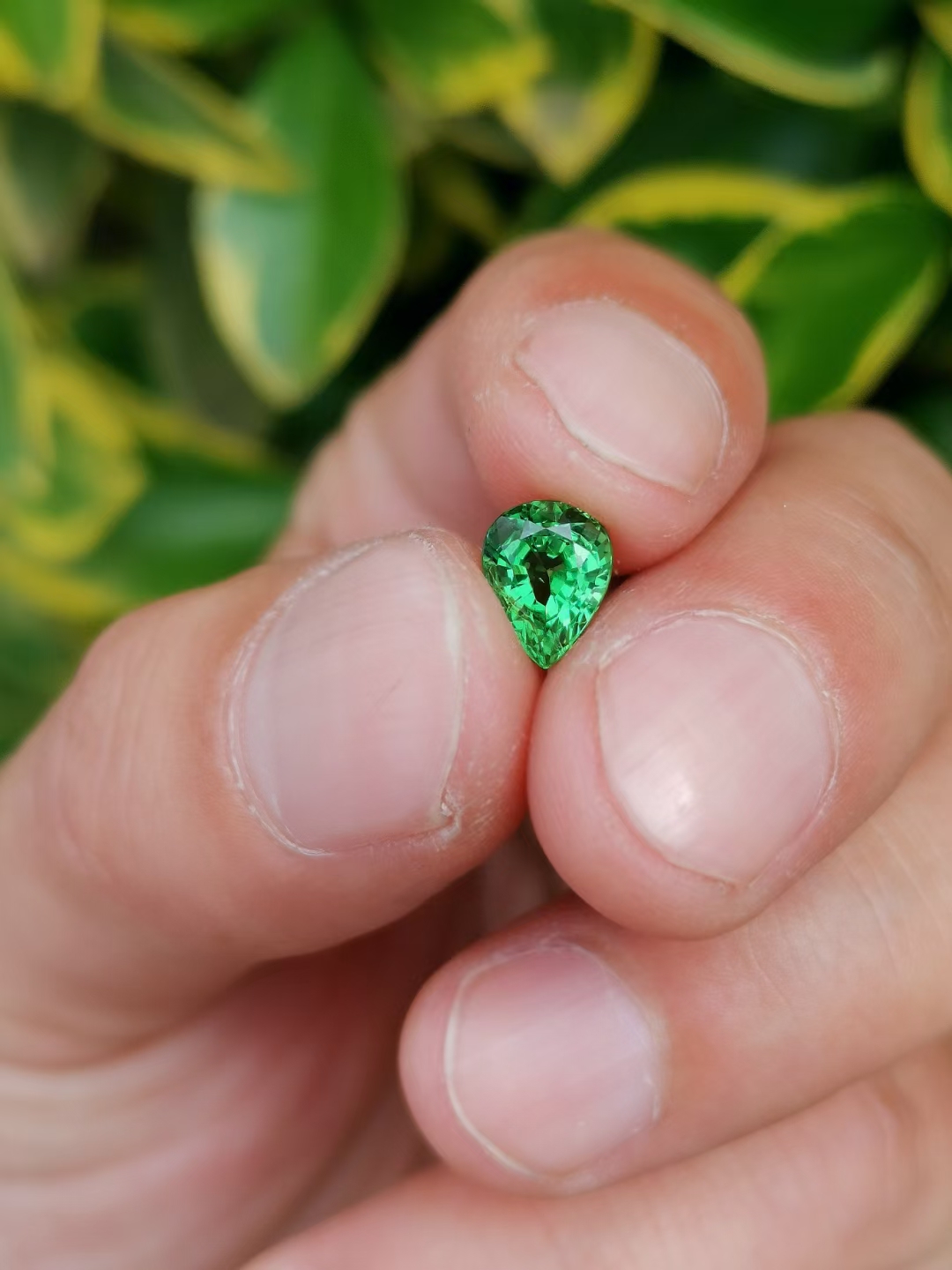 Crater of Diamonds State Park Arkansas. This doesn't look like anything else we found. ID please