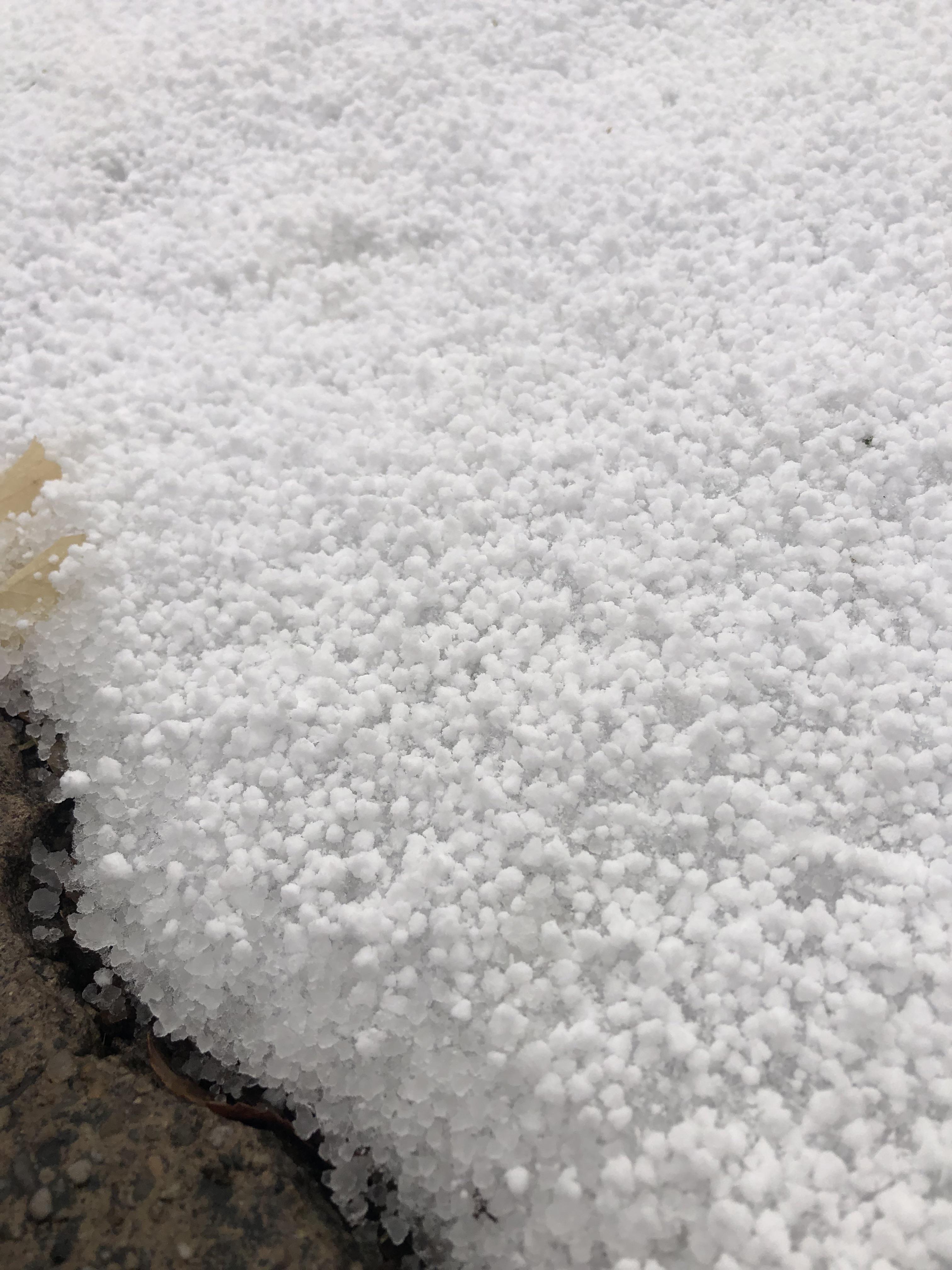 The snow in Salt Lake City today looks like Dippin’ Dots r