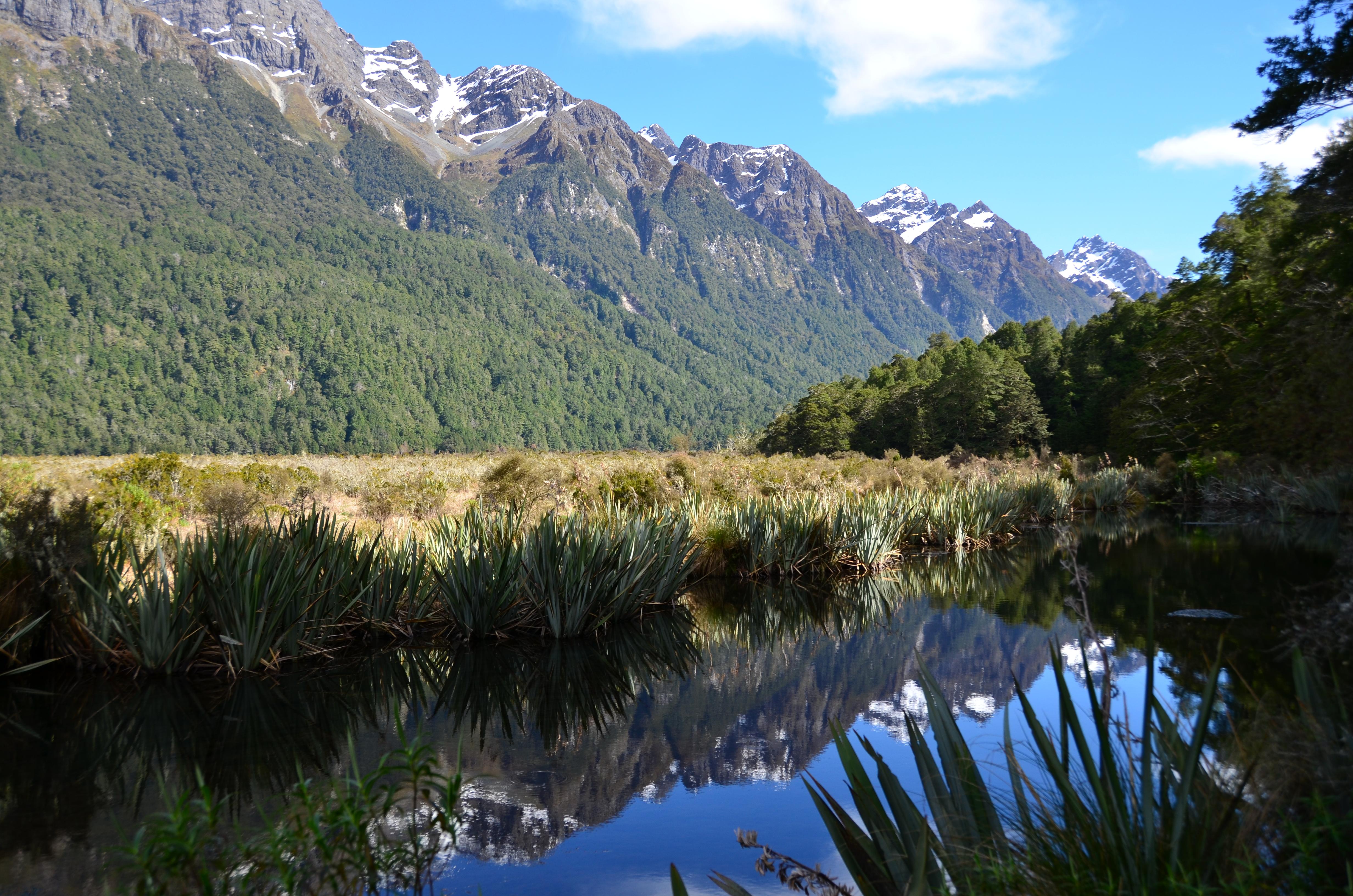 The Southern Alps, NZ (4928 x 3264)[OC] r/EarthPorn
