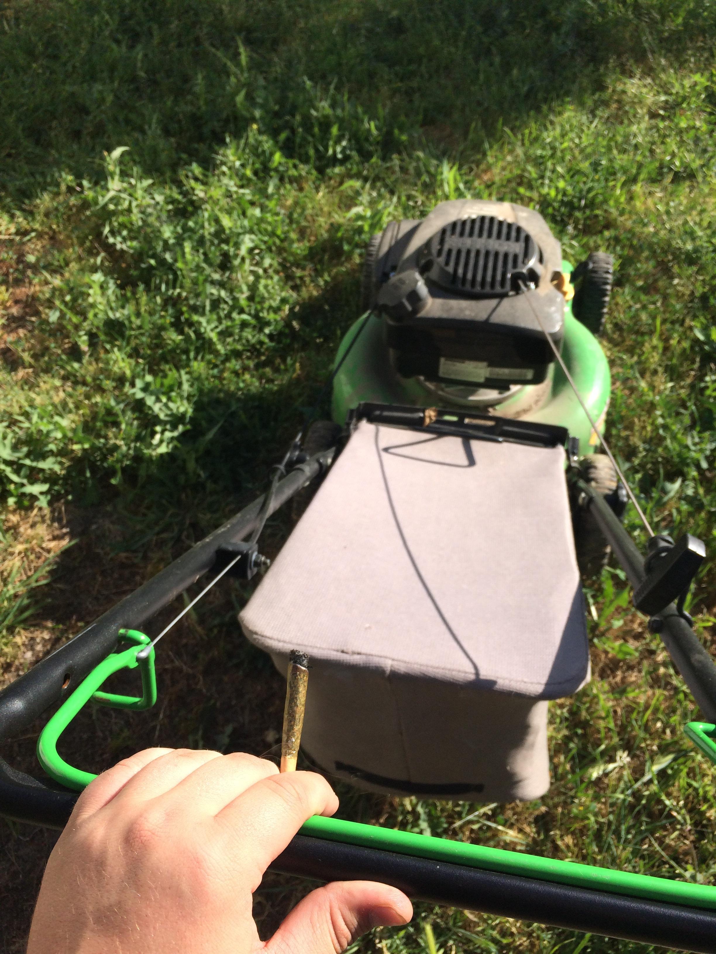 How to properly mow mow the lawn r/trees