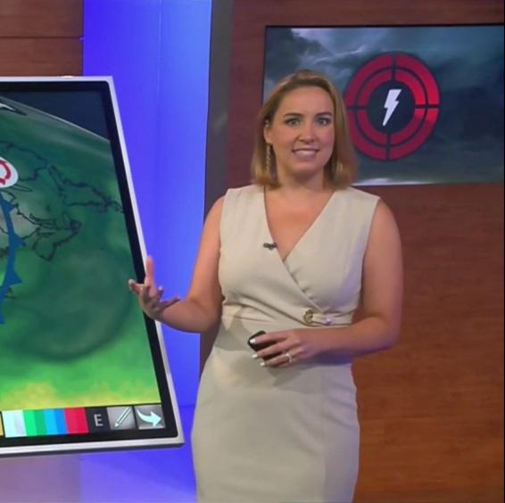 Alex Wilson Weather Channel r/hot_reporters