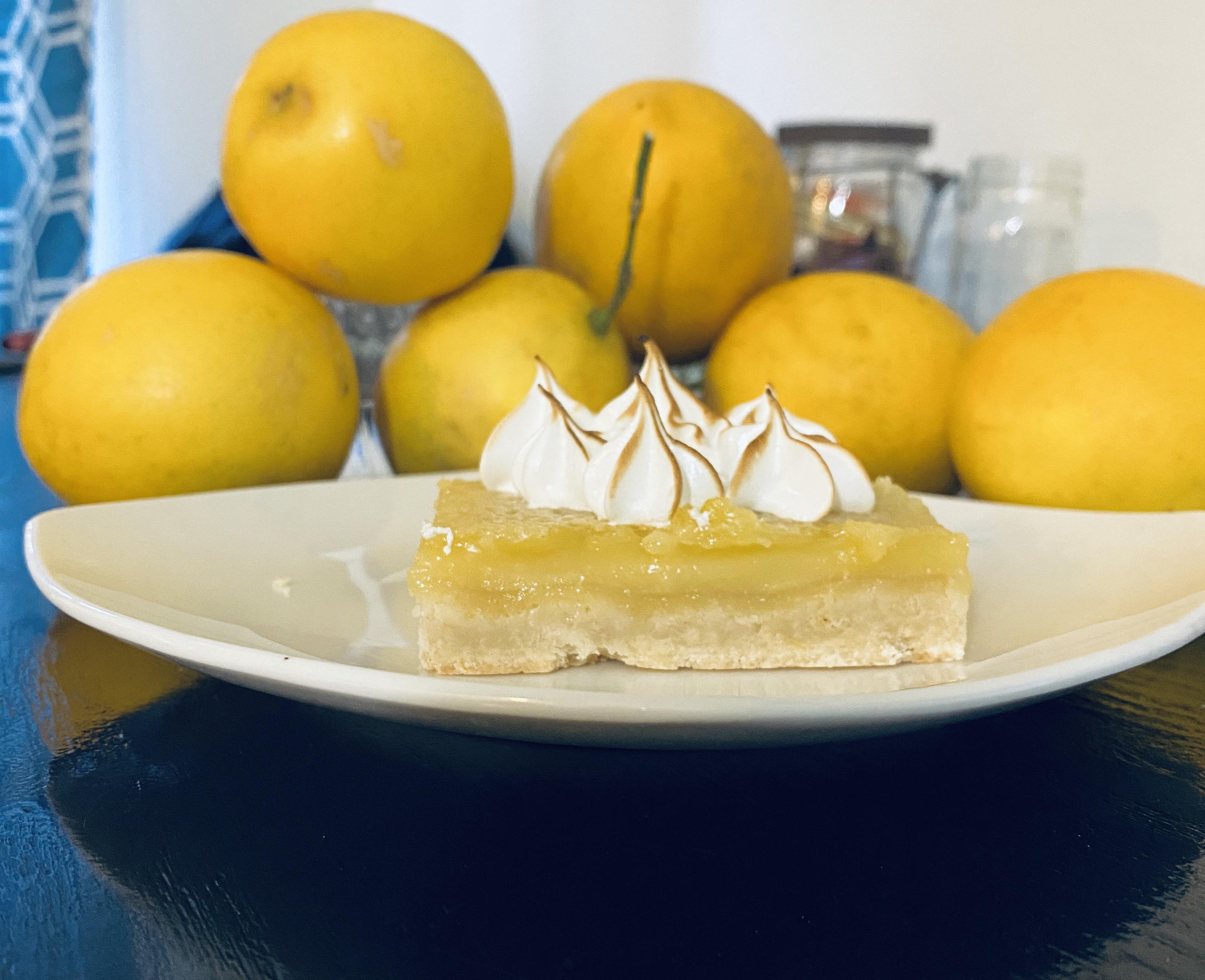 florida lemons Reddit post and comment search SocialGrep