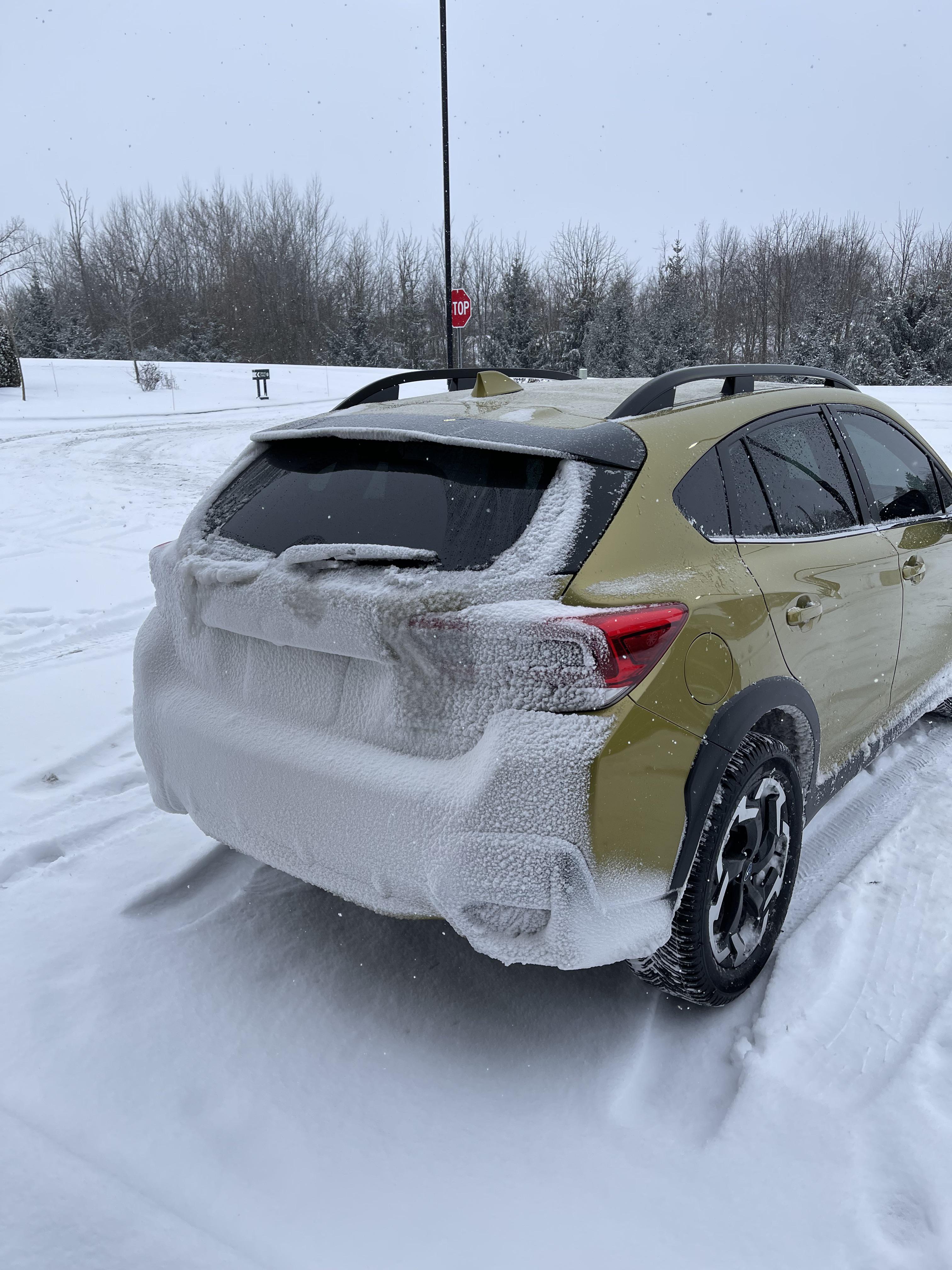 Think it’s time for mud flaps subaru