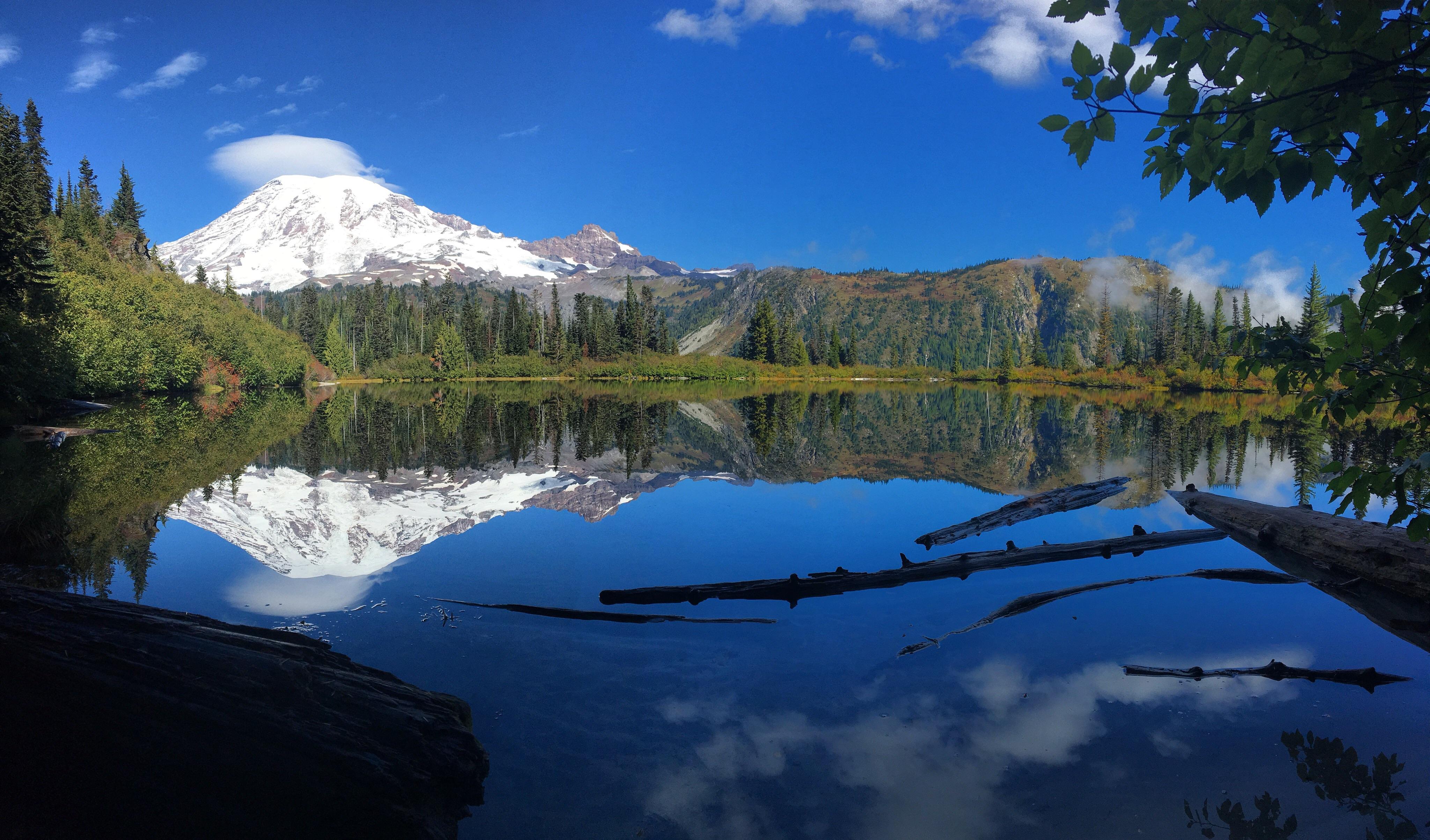 Mt. Rainier r/Washington