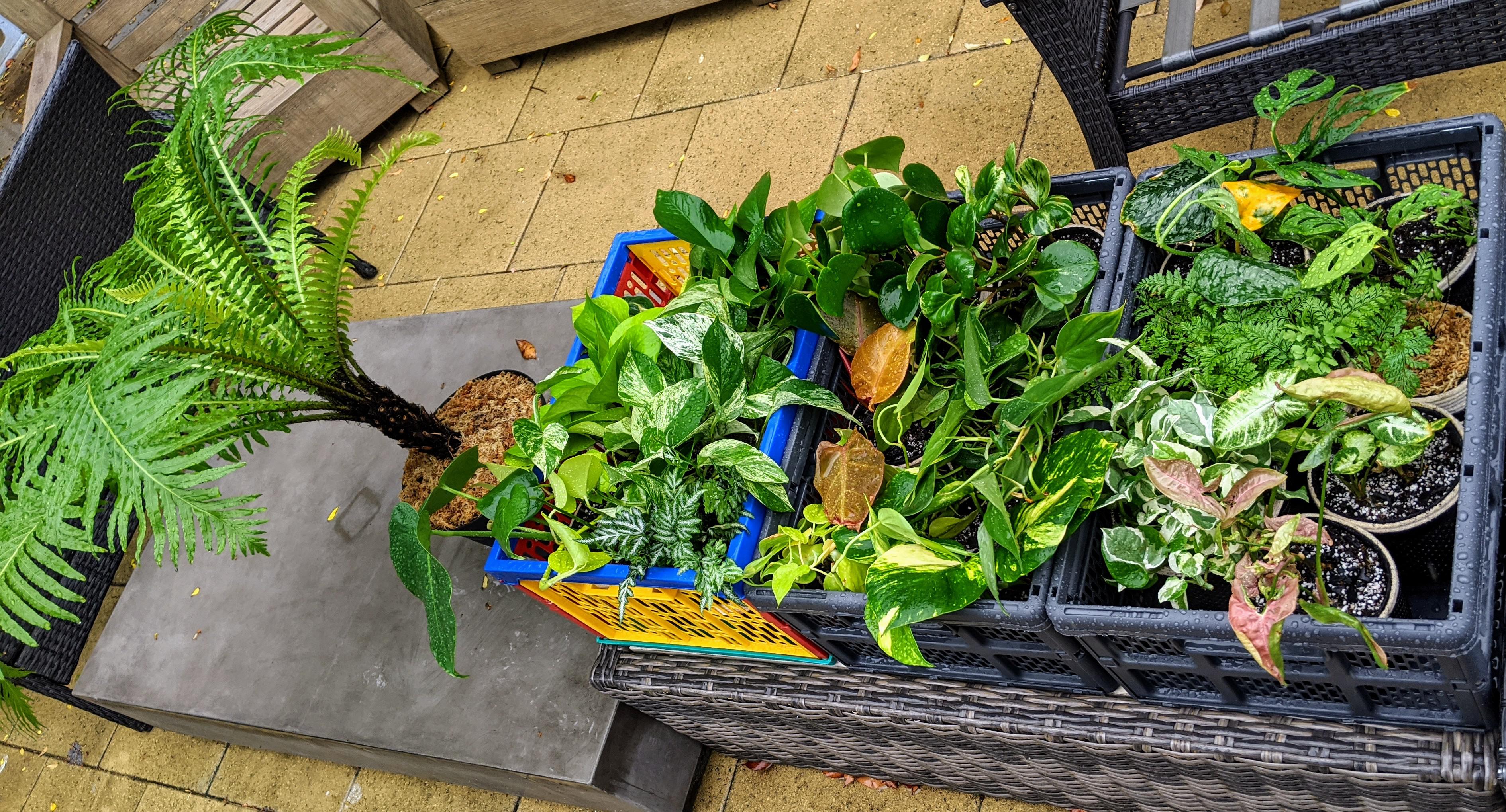 Raining for the first time in a long time, managed to putt all my