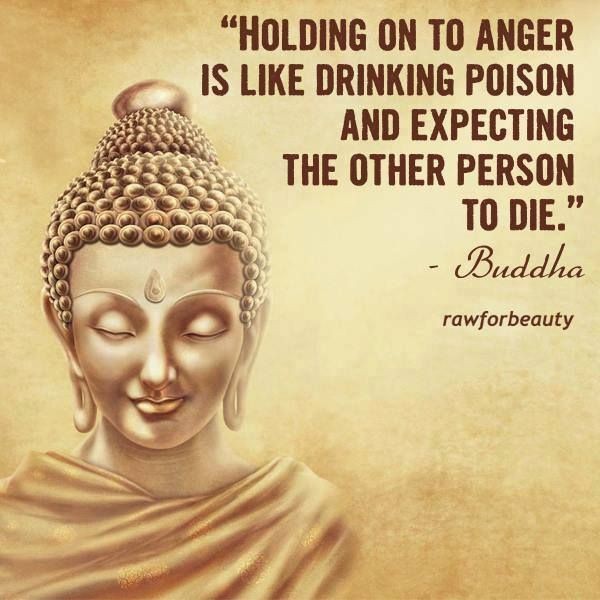 anger is like drinking poison Holding On To Anger Is Like Drinking Poison And Expecting The Other Person To Die - Buddha [600×600] : R/Quotesporn
