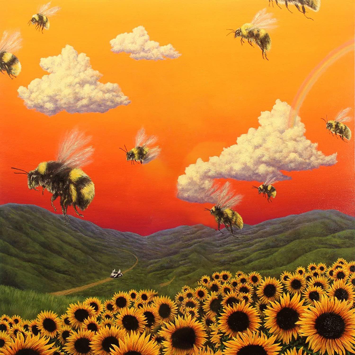 I created a Flower Boy wallpaper (Desktop and Mobile) r/tylerthecreator