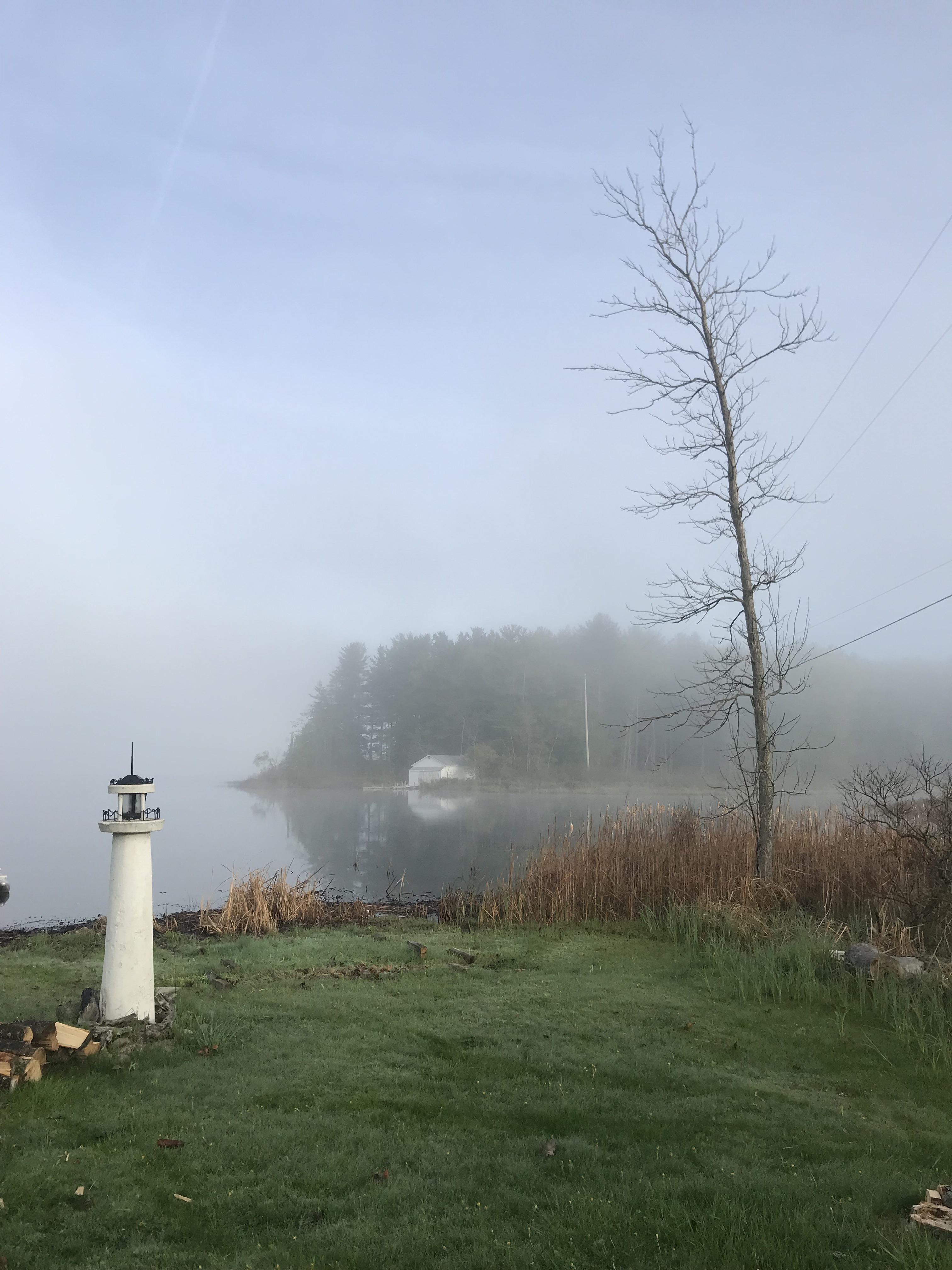 Picture of the view from the family cabin on sage lake that my gf took