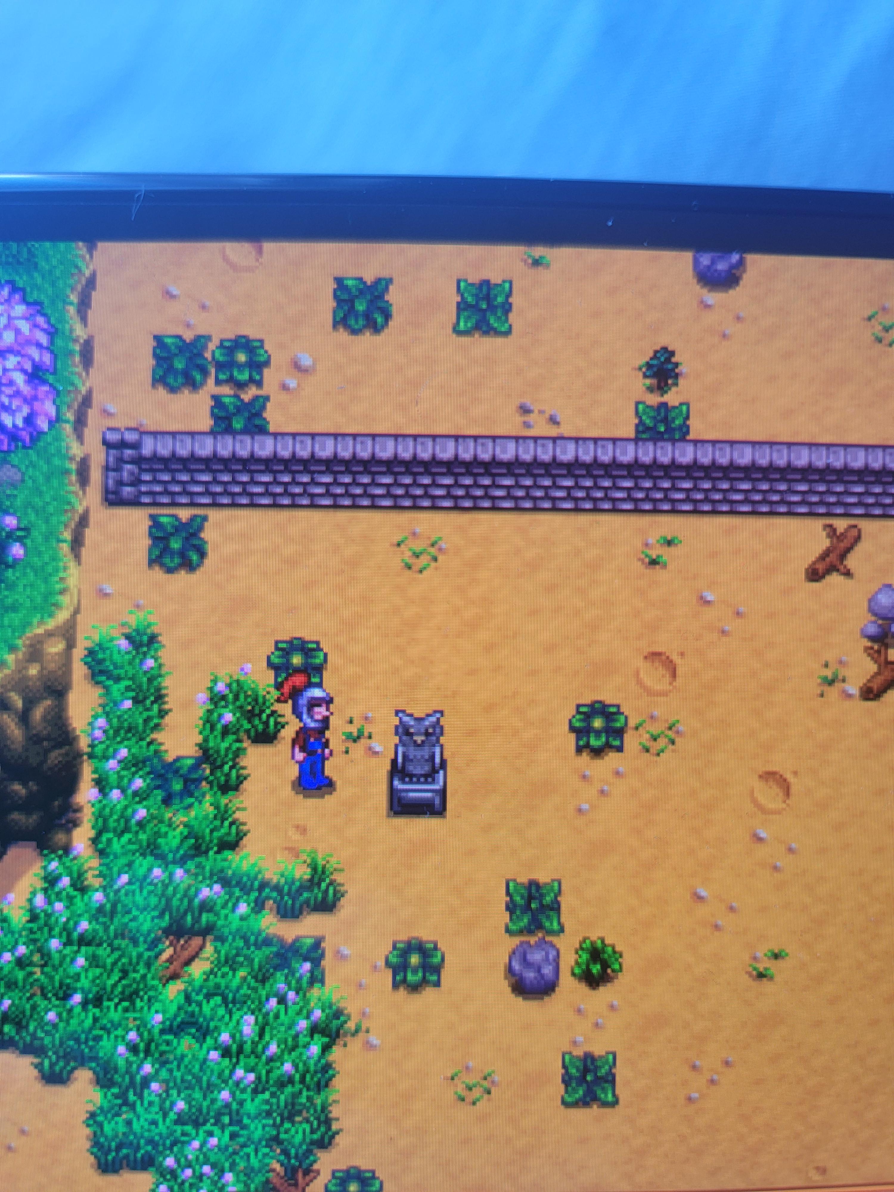 found this rare statue just appeared on my farm StardewValley
