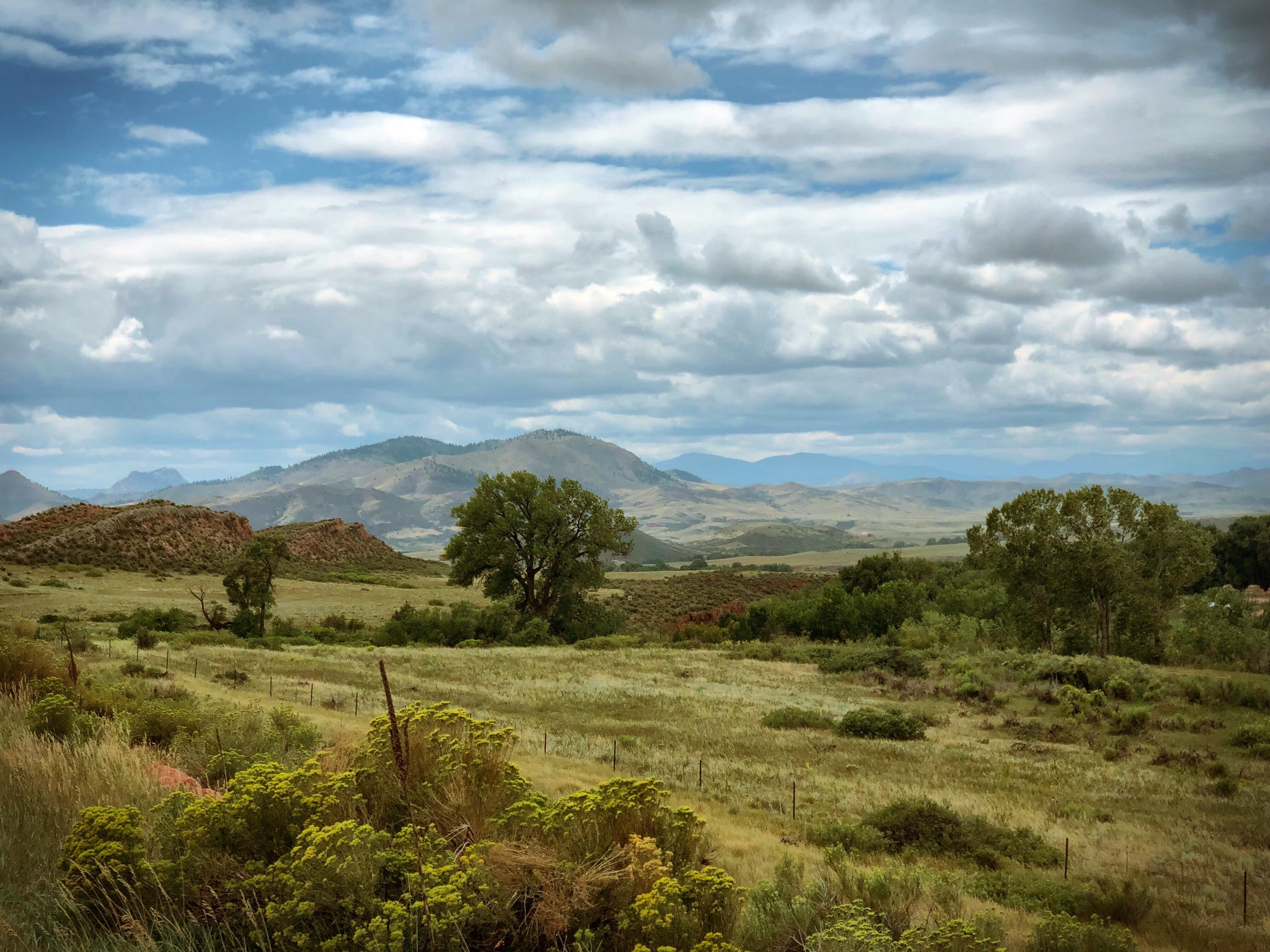 Outside Livermore, Colorado (2018). [4032x3024] [OC] r/EarthPorn