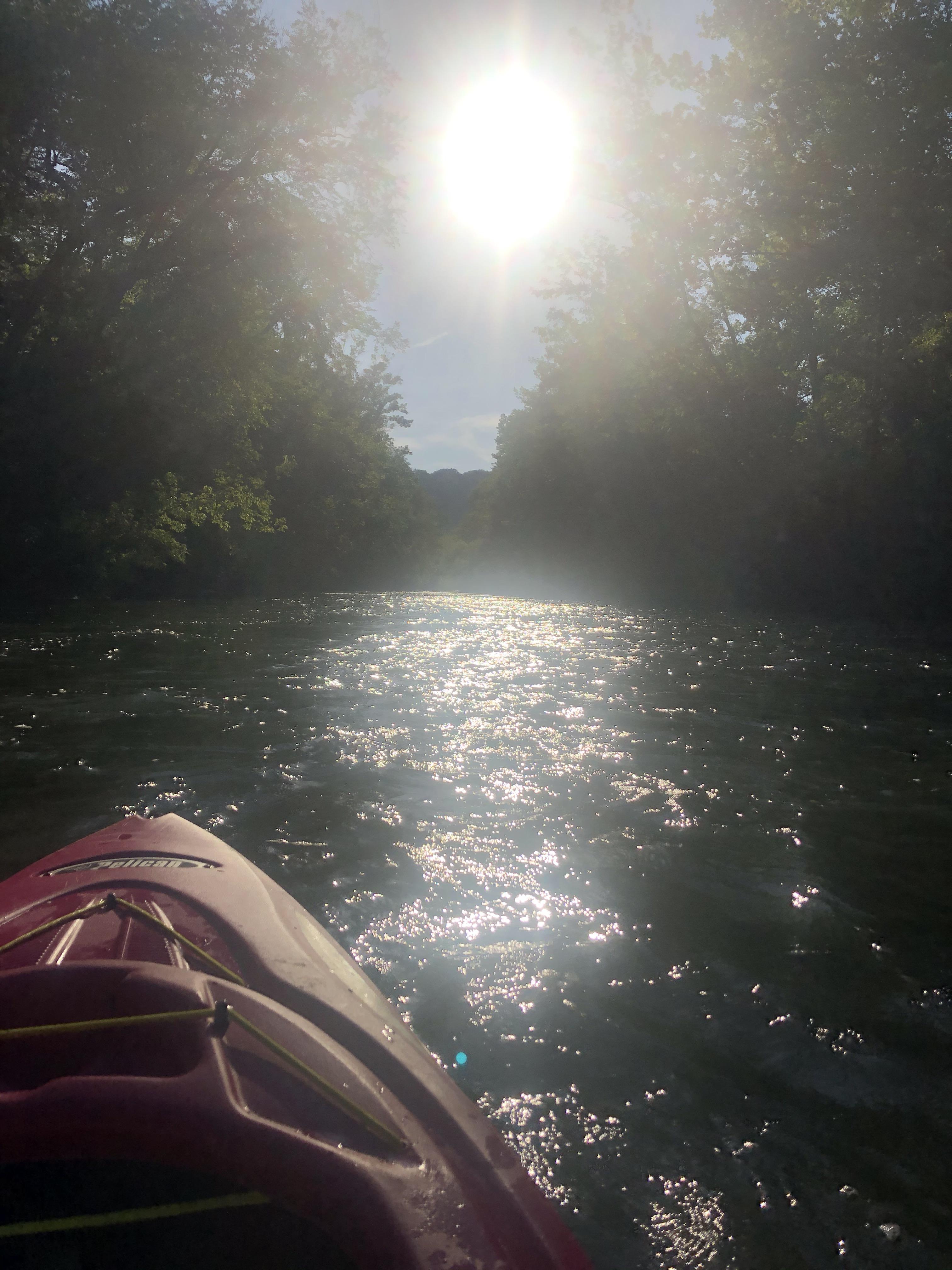 First time kayaking today along the little coal river r/WestVirginia