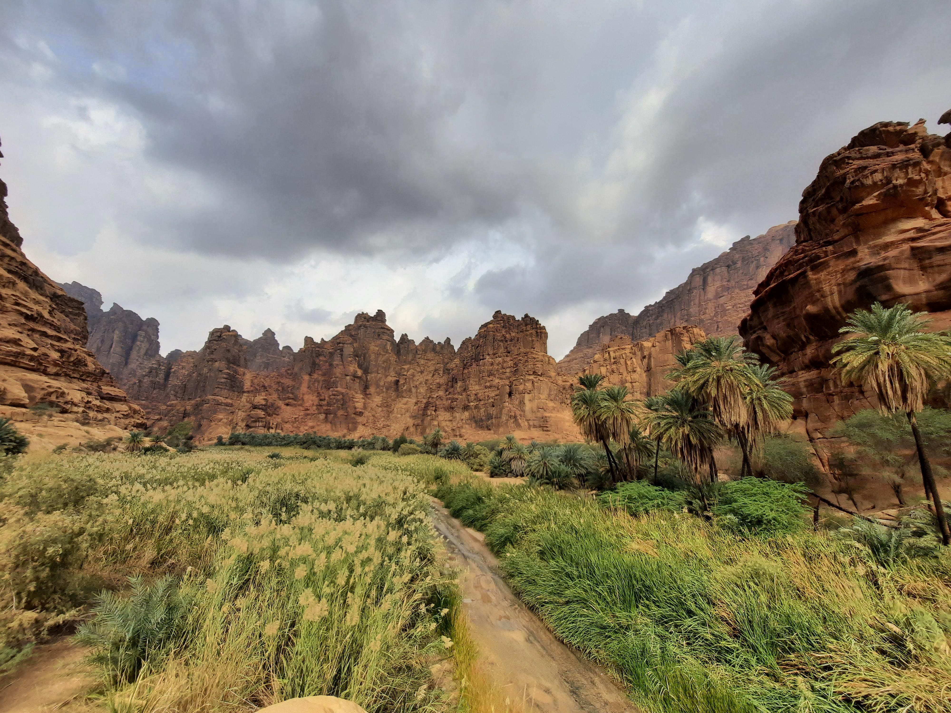 Oasis of Wadi Al Disah (the valley of palm trees) , Saudi Arabia [OC] [4000x3000] r/EarthPorn