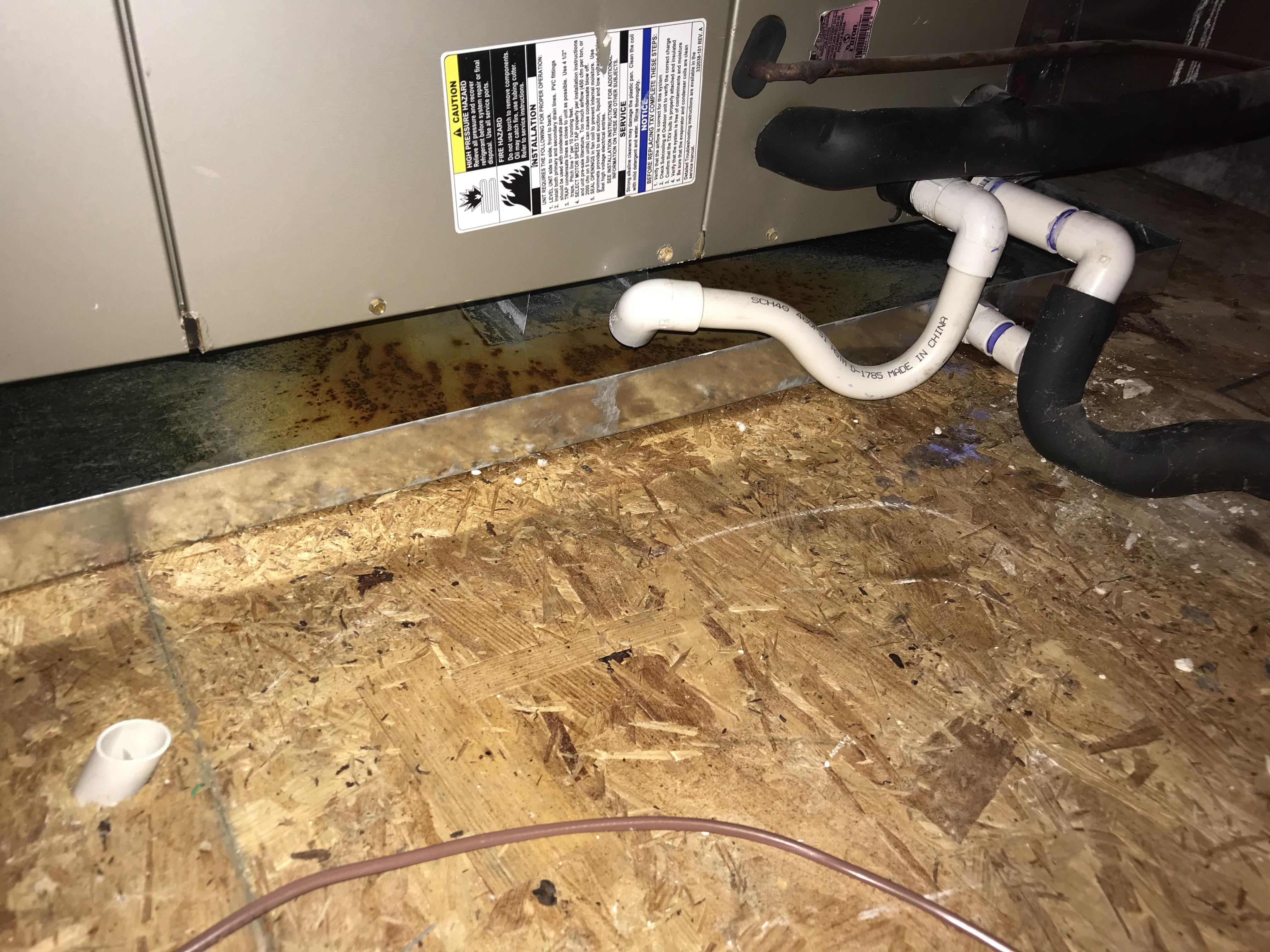 Drain from the drip pan should be connected to the pvc sticking up from