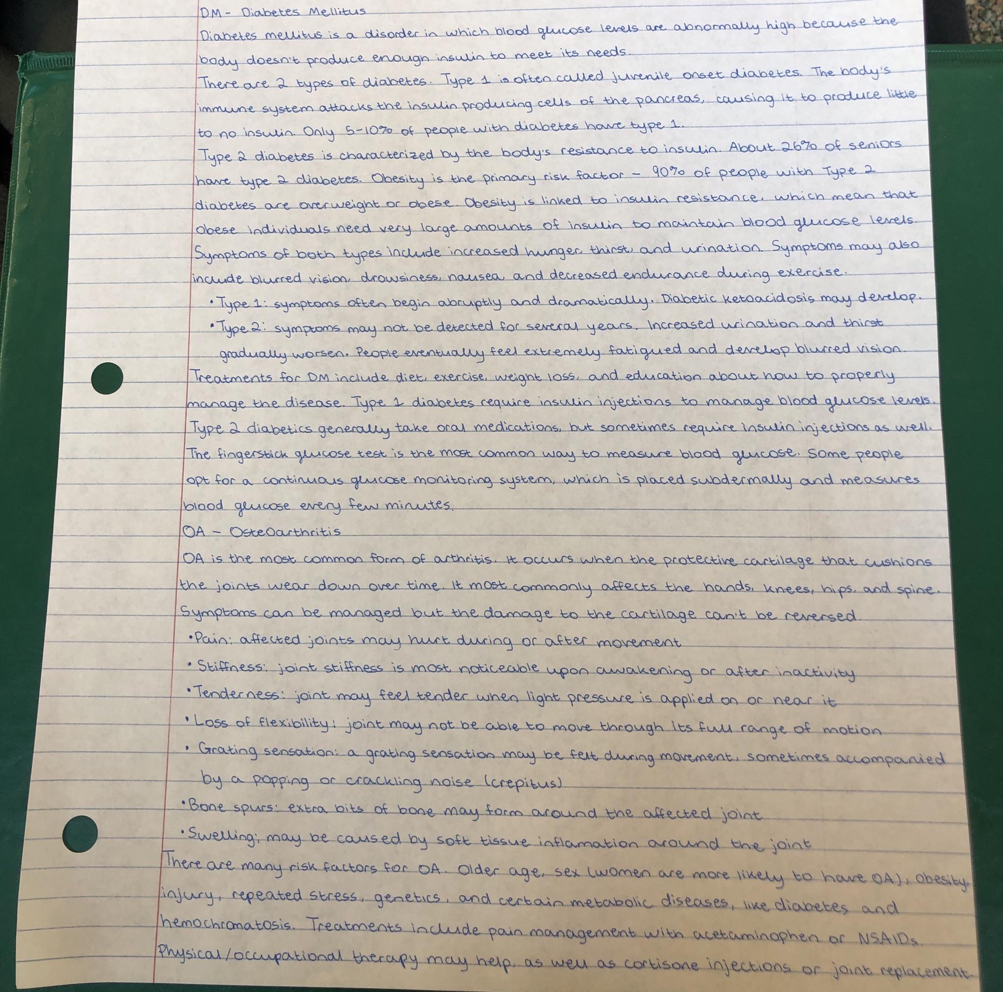 My notes! I bought narrow ruled paper so I could write even smaller than on college ruled paper