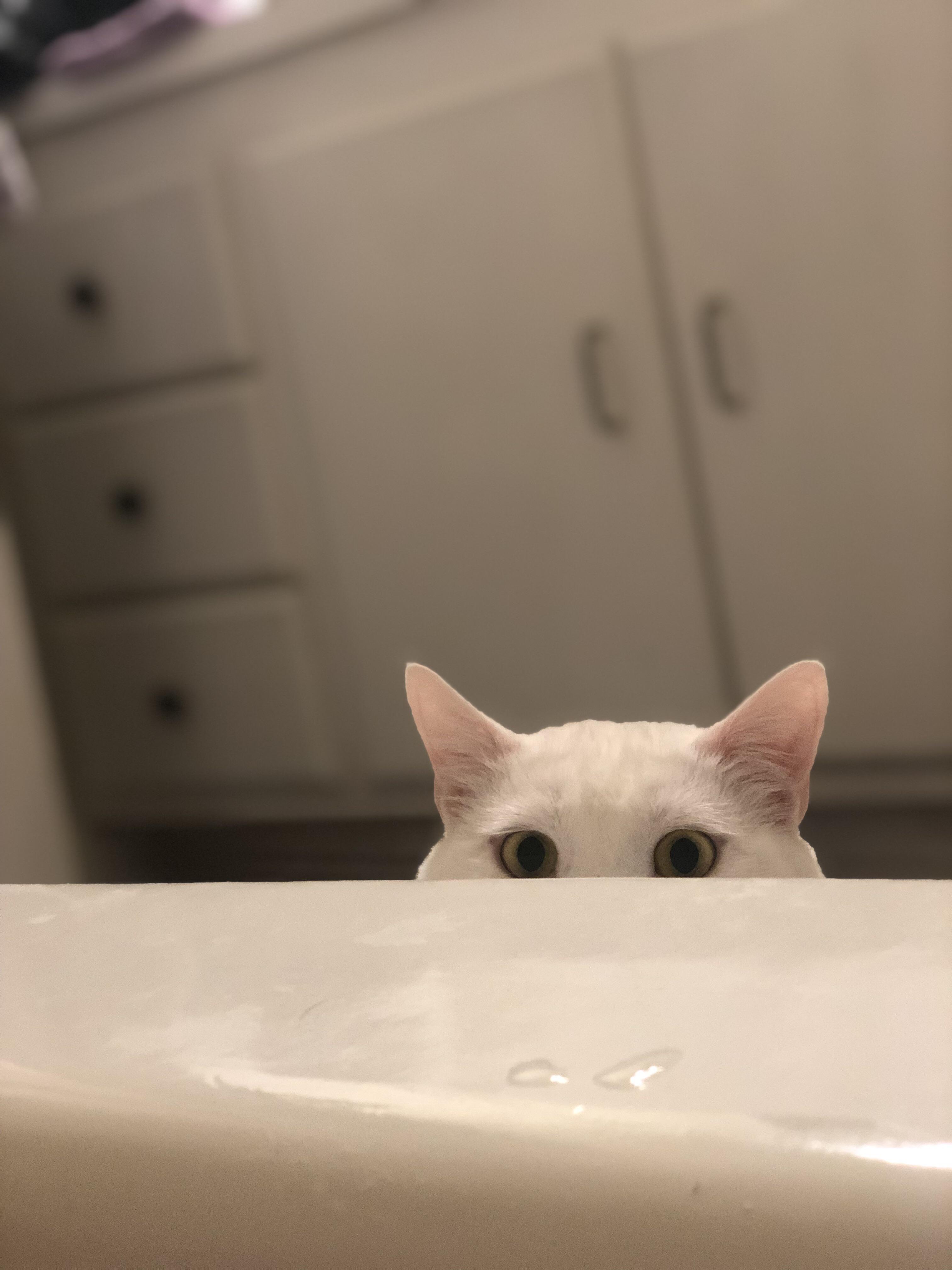 Every time I take a bath r/pics