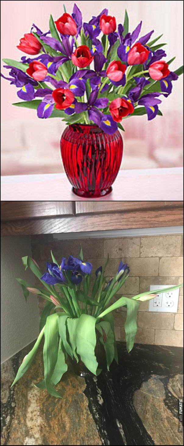 1800 Flowers Membership Number / Amazon Com 1800 Flowers Get free