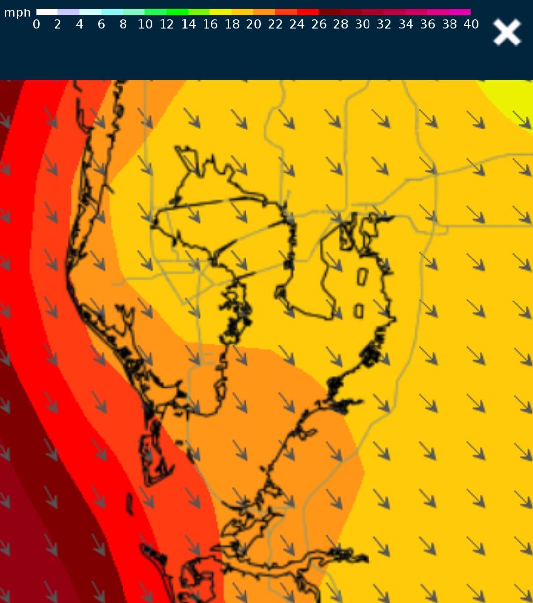 If you plan on Gasparilla by boat, please know your vessels limits