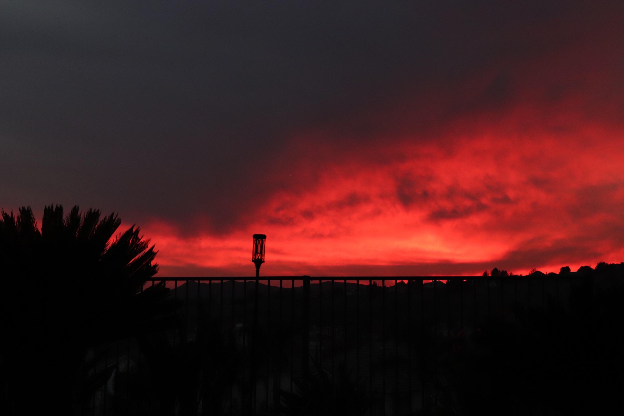 The sunset today had a very intense red. r/pics
