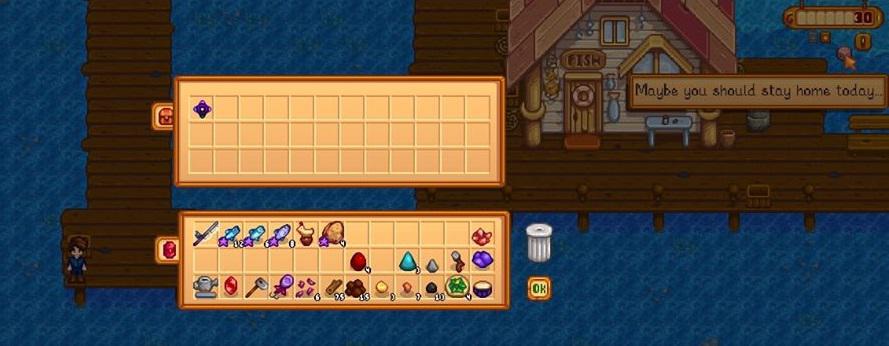 "Maybe you should stay home today..." StardewValley