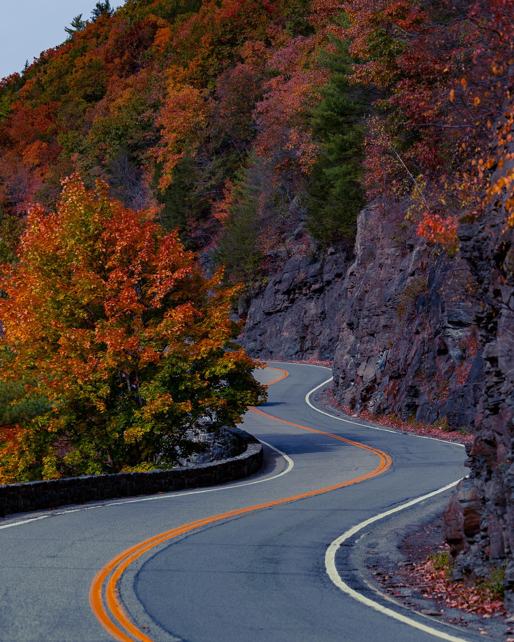 Winding Road / upstate NY fall foliage r/photocritique