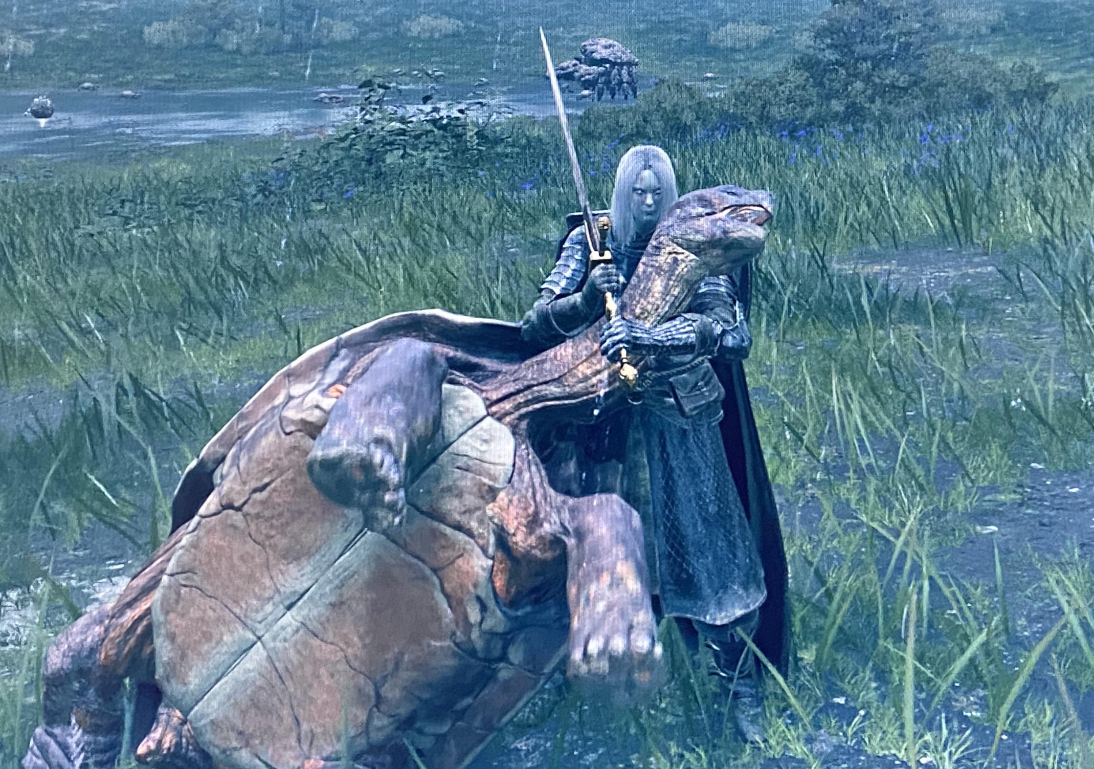 Cuddling with thick turtle neck meat Eldenring