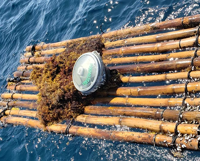 Floating Beacon? r/whatisthisthing