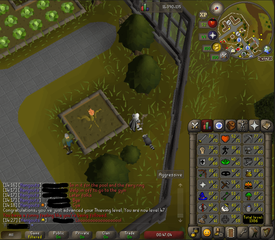 First ever OSRS pet achieved Rocky 47 Thieving r/2007scape