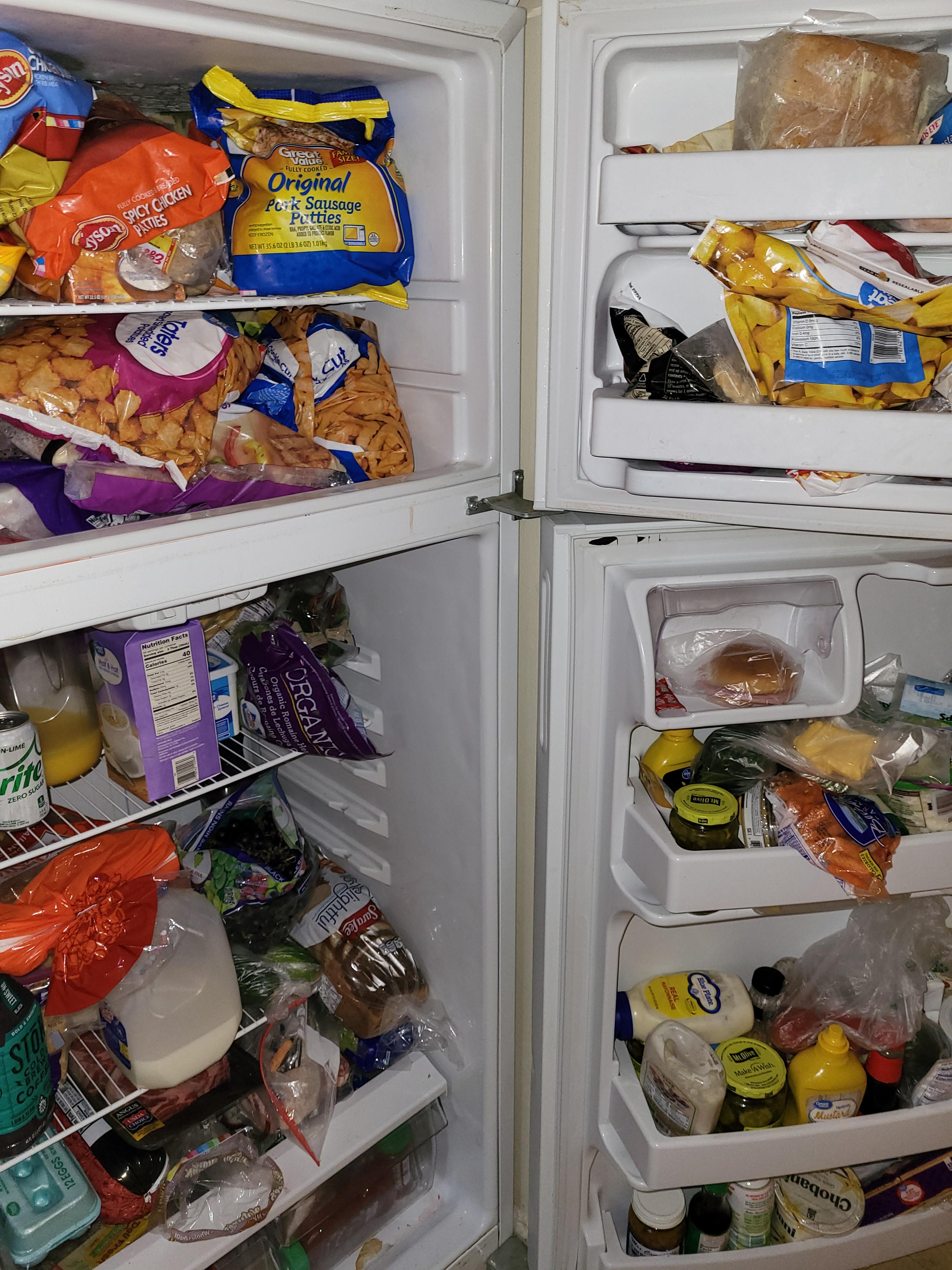 Empty ahh fridge💀 BlueRyai