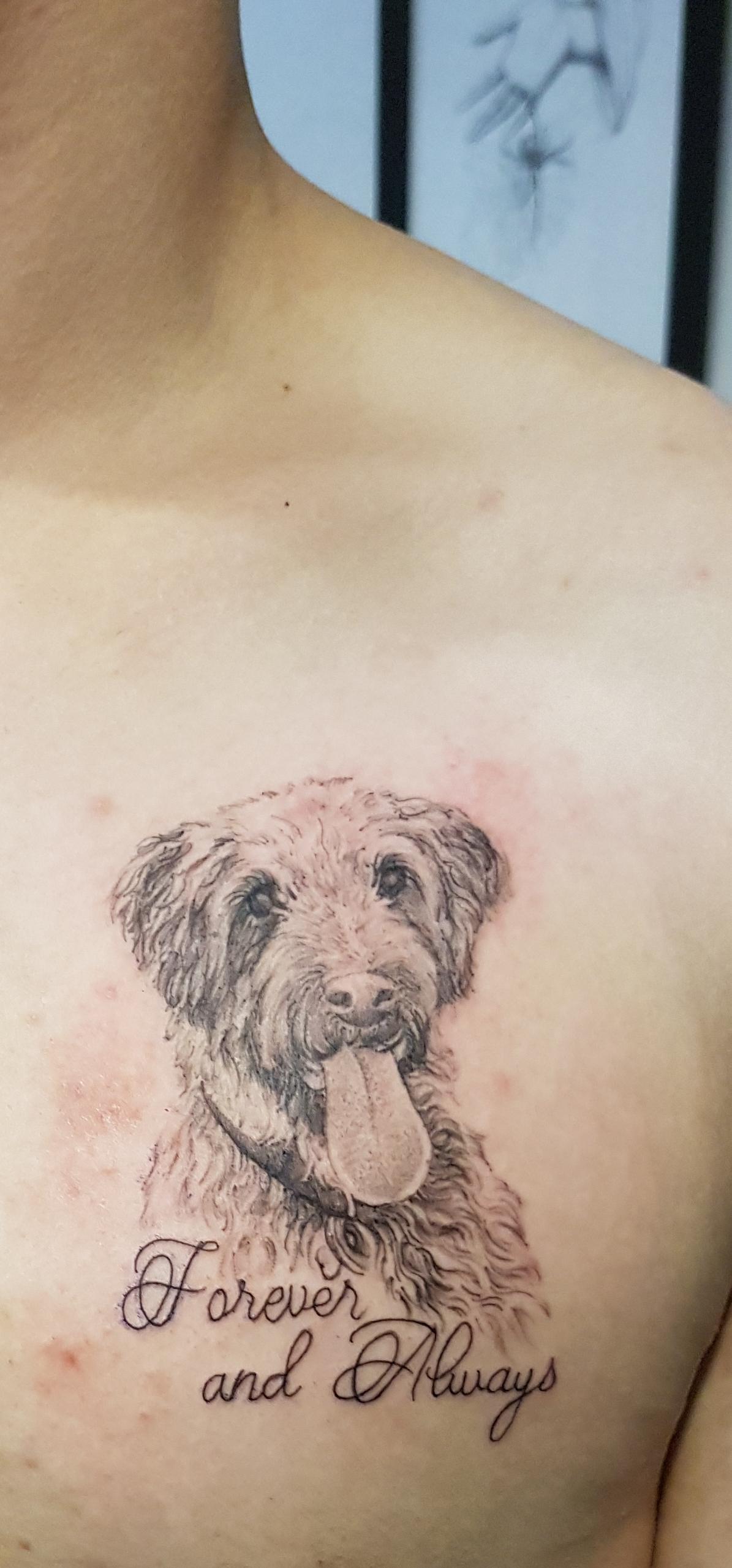 Fresh Tattoo in memory of my Dog By Alessandro hiddenmoon Melbourne