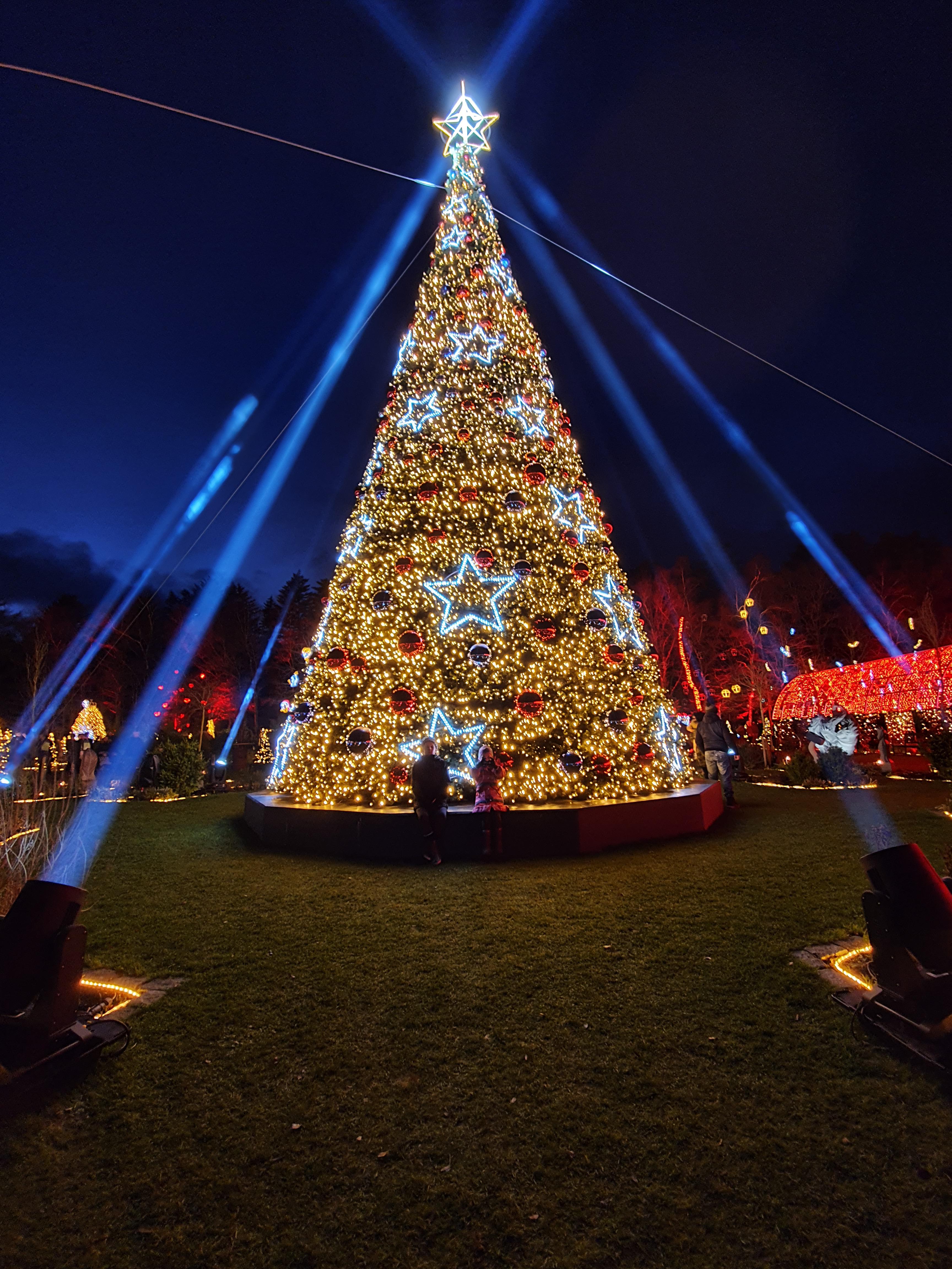 Flood Lights For Christmas Decorations The way the floodlights looks like they're shooting light projectiles
