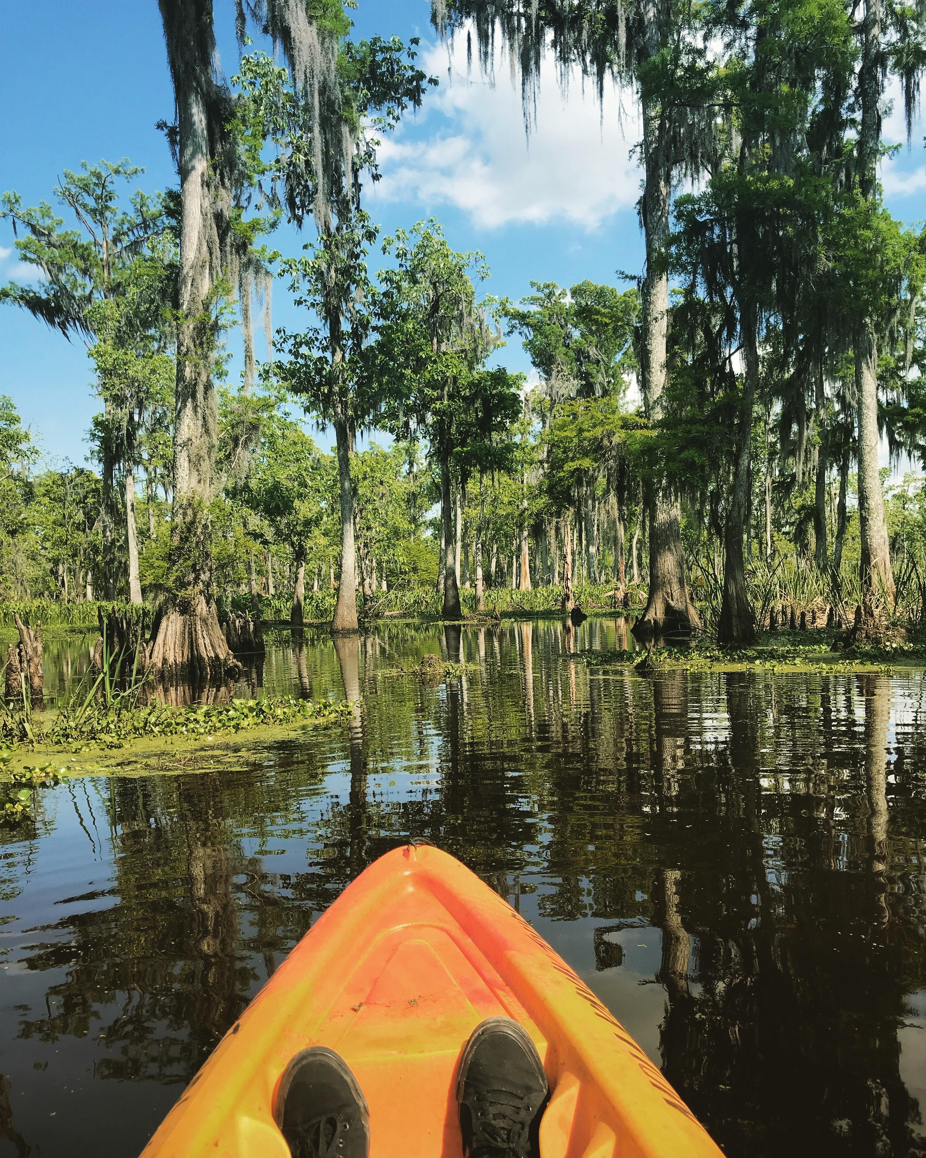 Kayaking in Louisiana swamps is a one of a kind experience. r/Kayaking