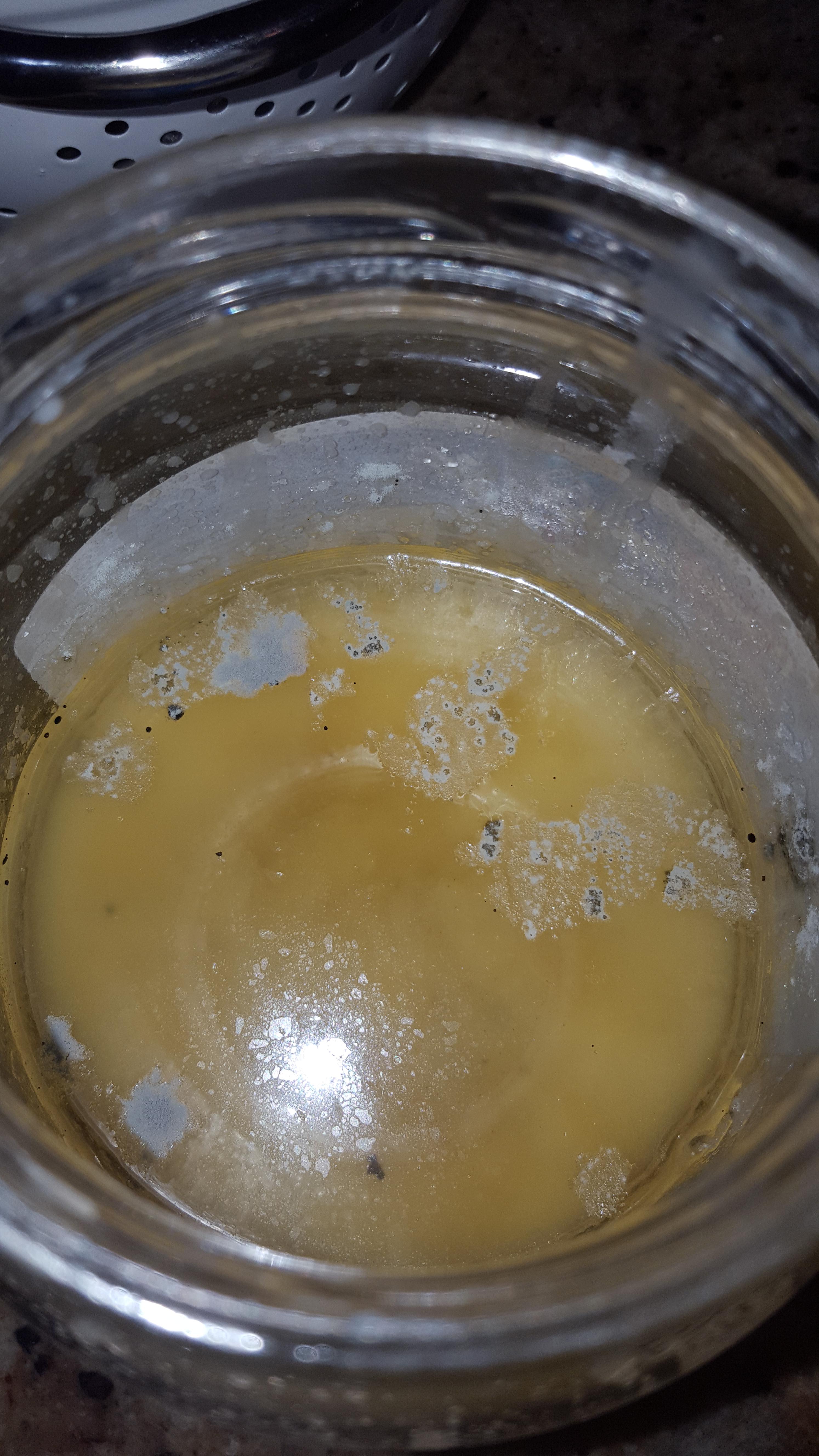 How can bacteria grow on used cooking oil? What are they eating? r