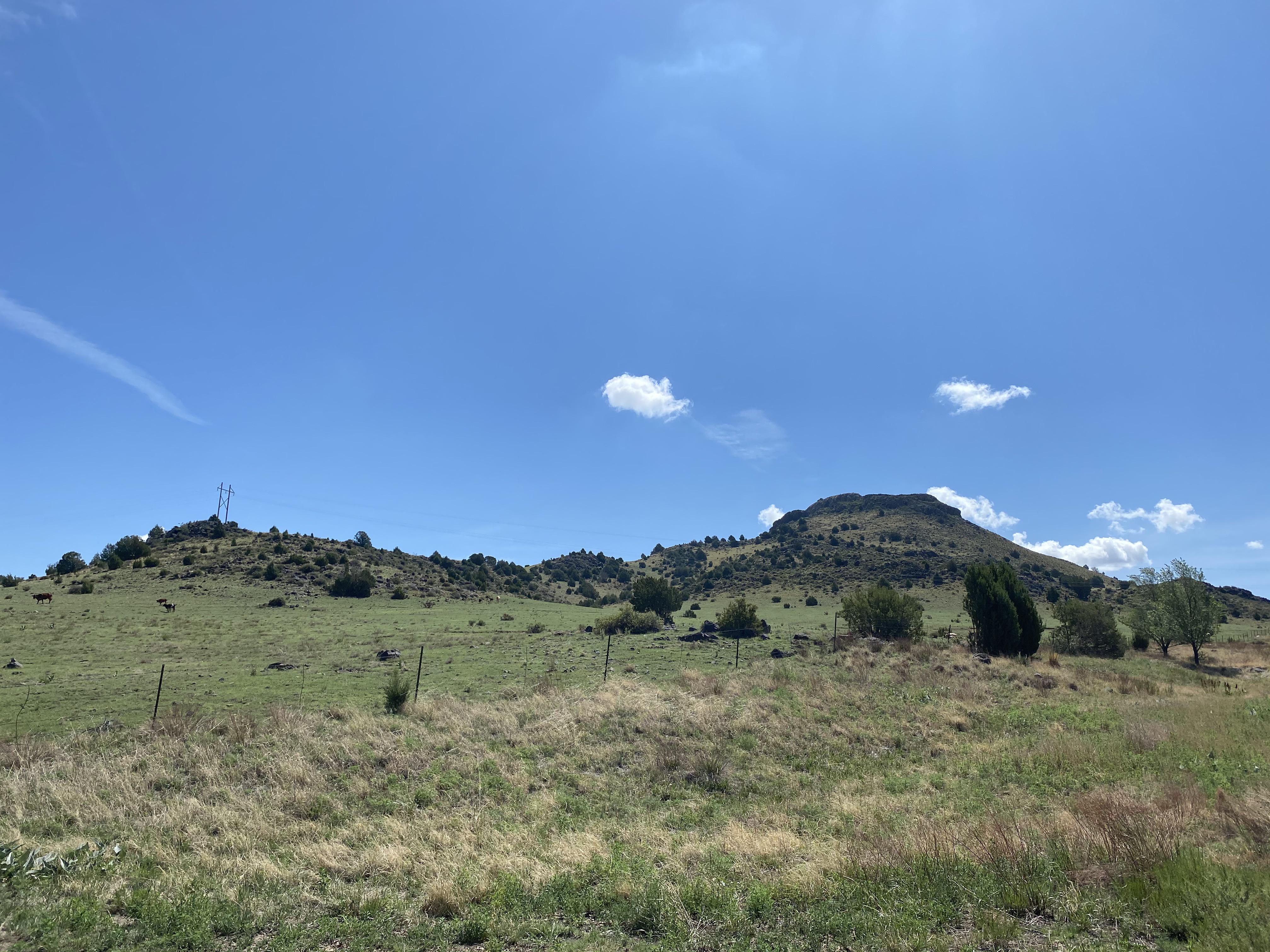 Wagon Mound. I always stop here for gas on my way up I25. What do you