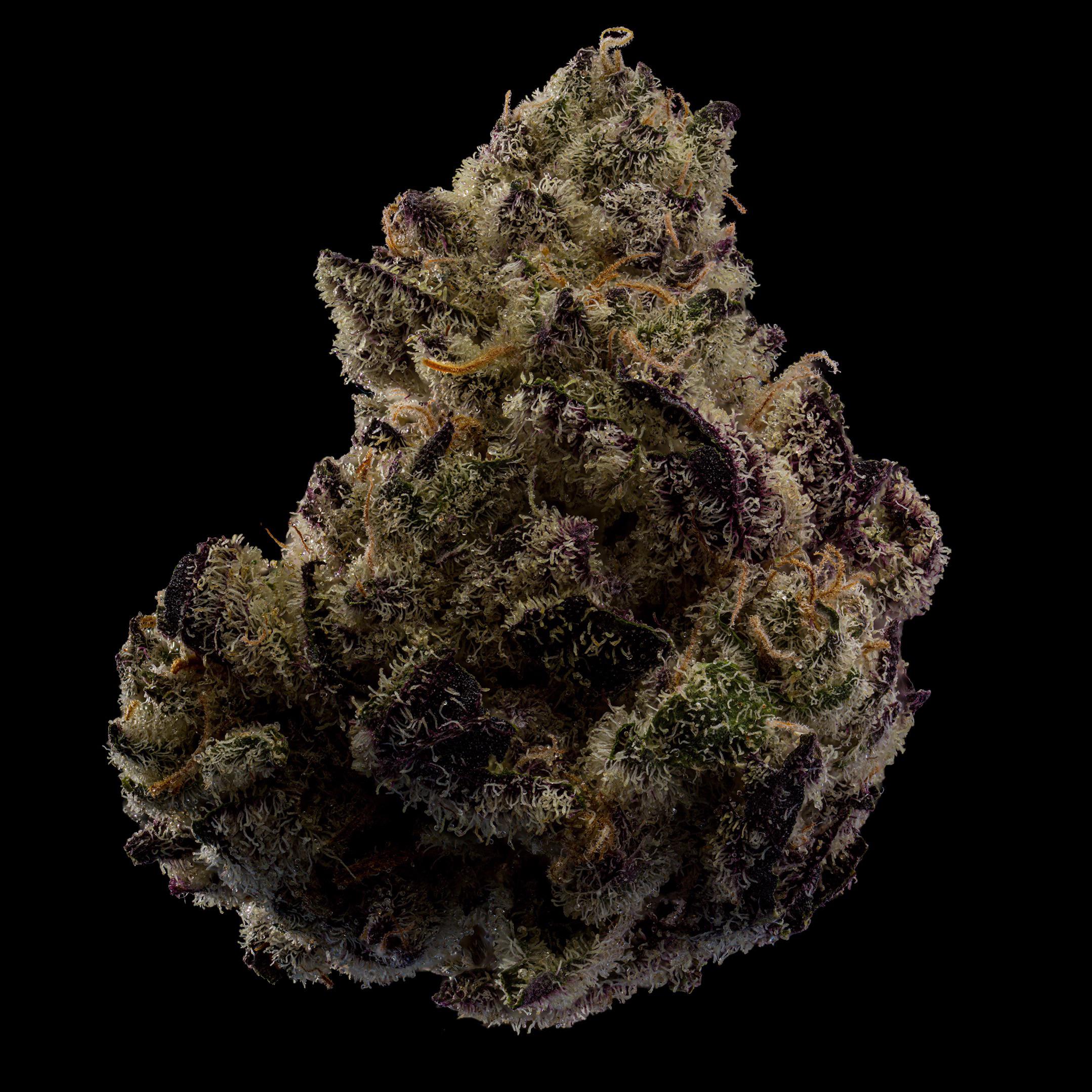 Garlic Icing from Blossom Cannabis in Biddleford🙌 One of my favorite