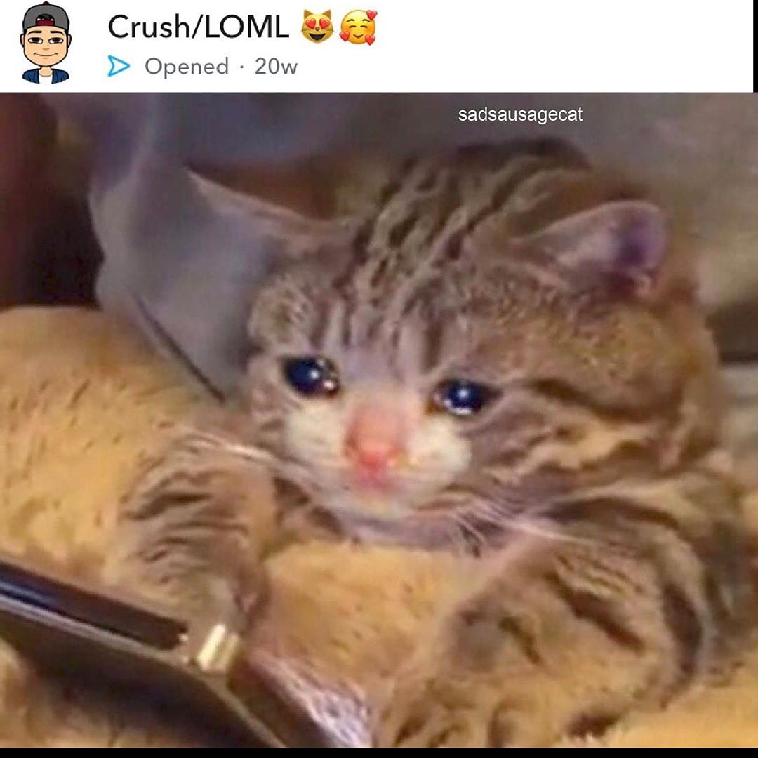 It hurts right here in my meow meow 😔 r/sadcats