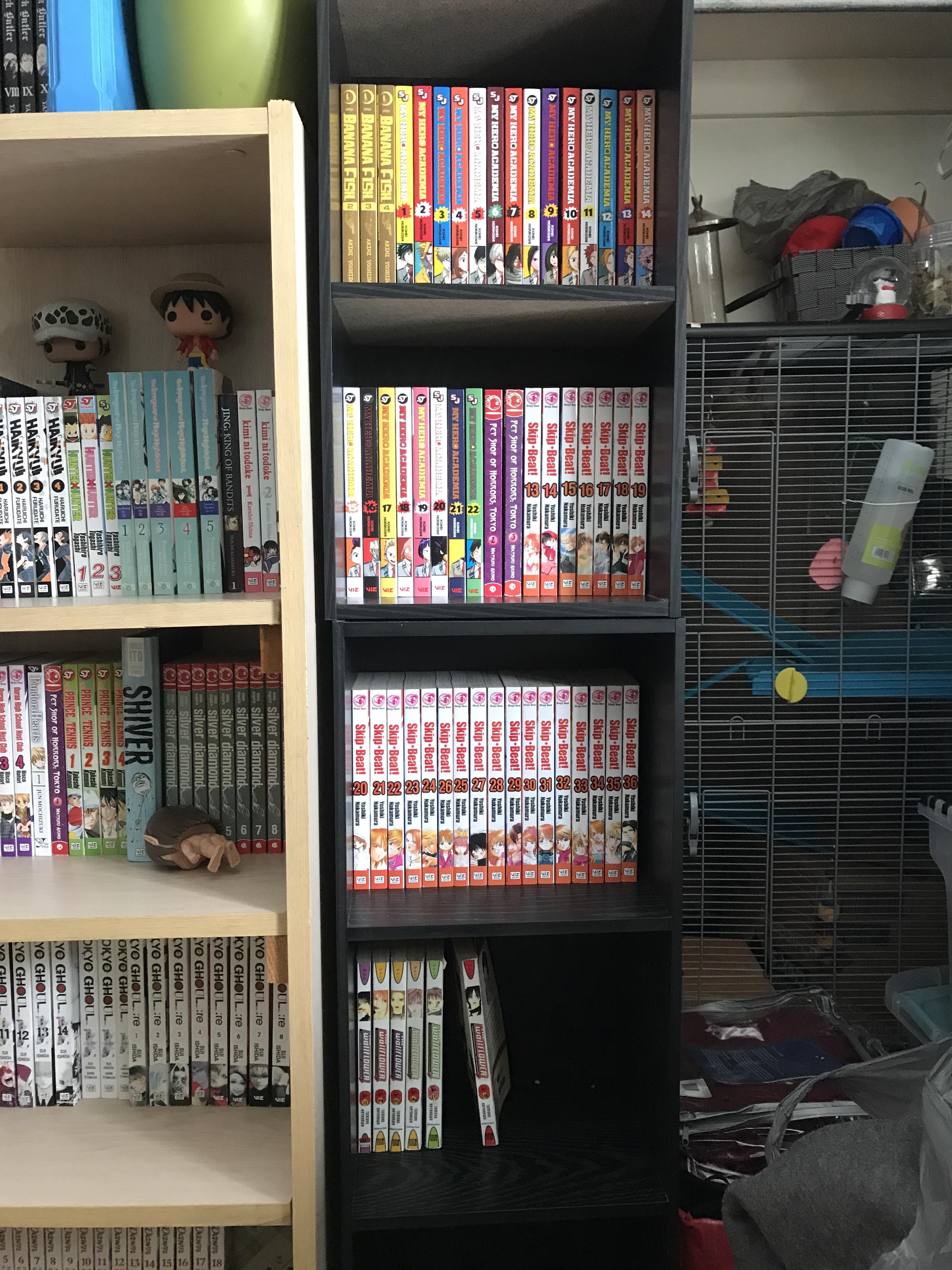 Everything in the black bookcases belong to my February haul and are