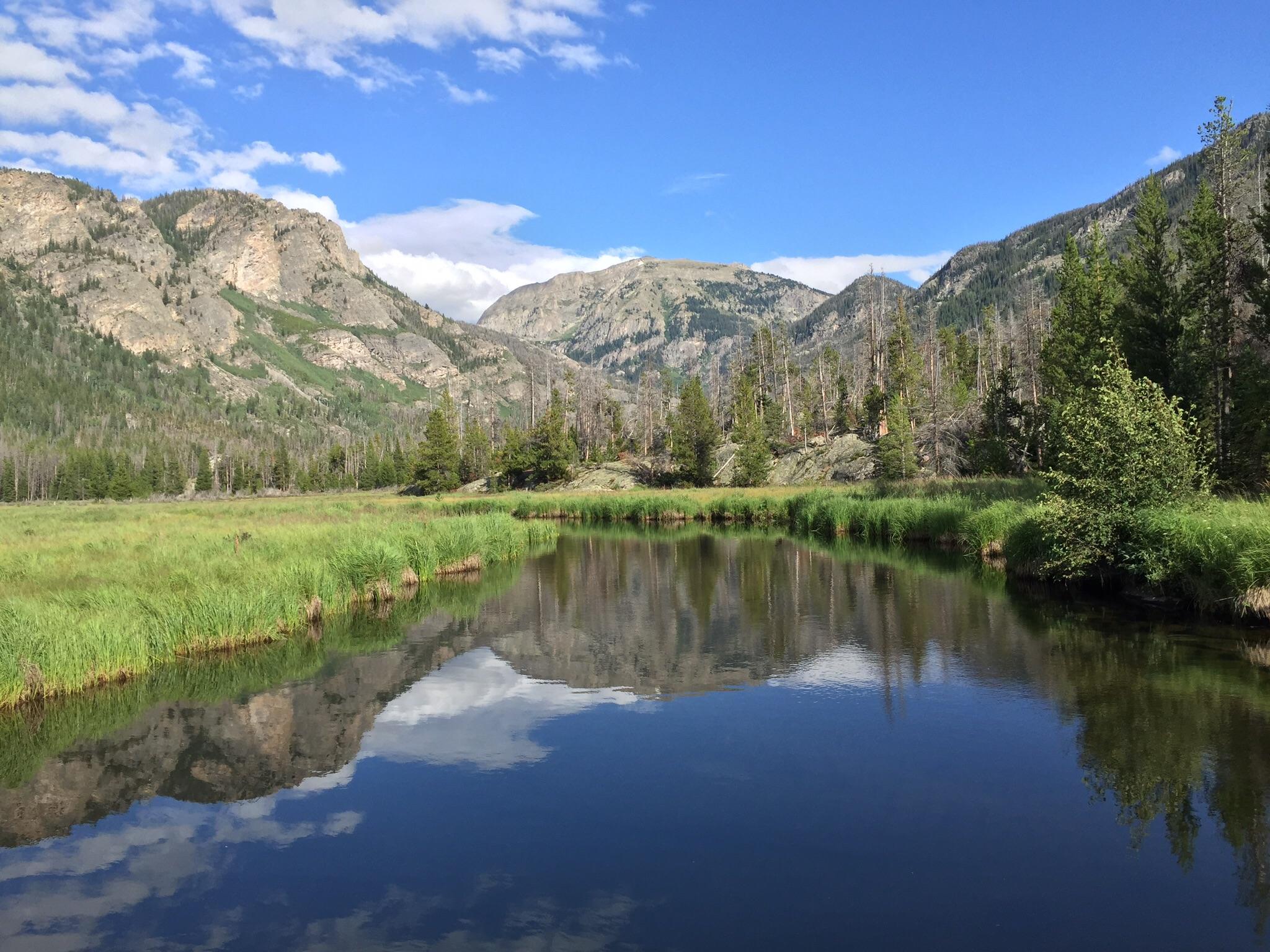 East meadow in Rocky Mountain National Park, Colorado. r/CampingandHiking