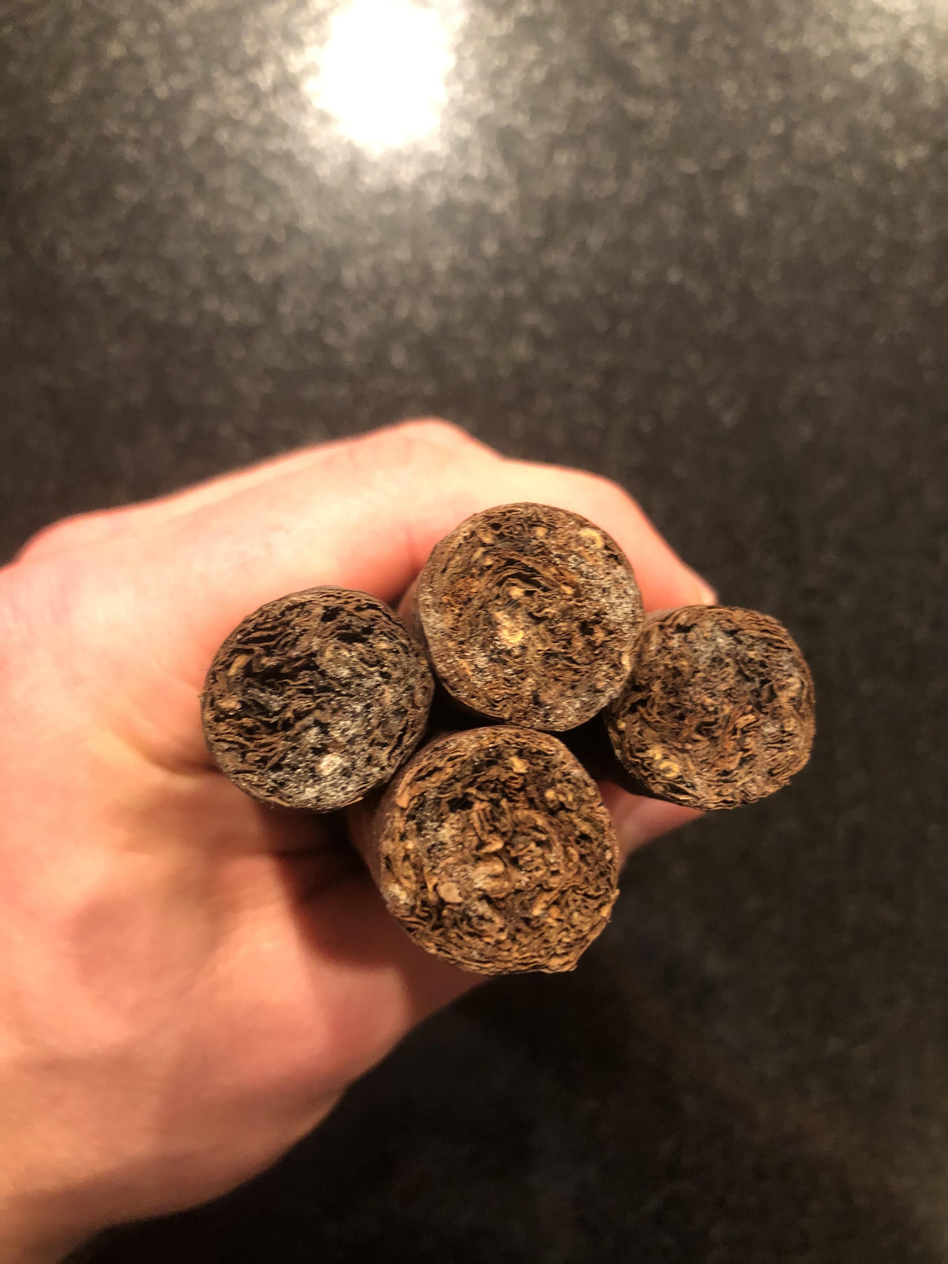 Let my humidor go, cigars have ?mold? Are they okay to smoke? r/cigars