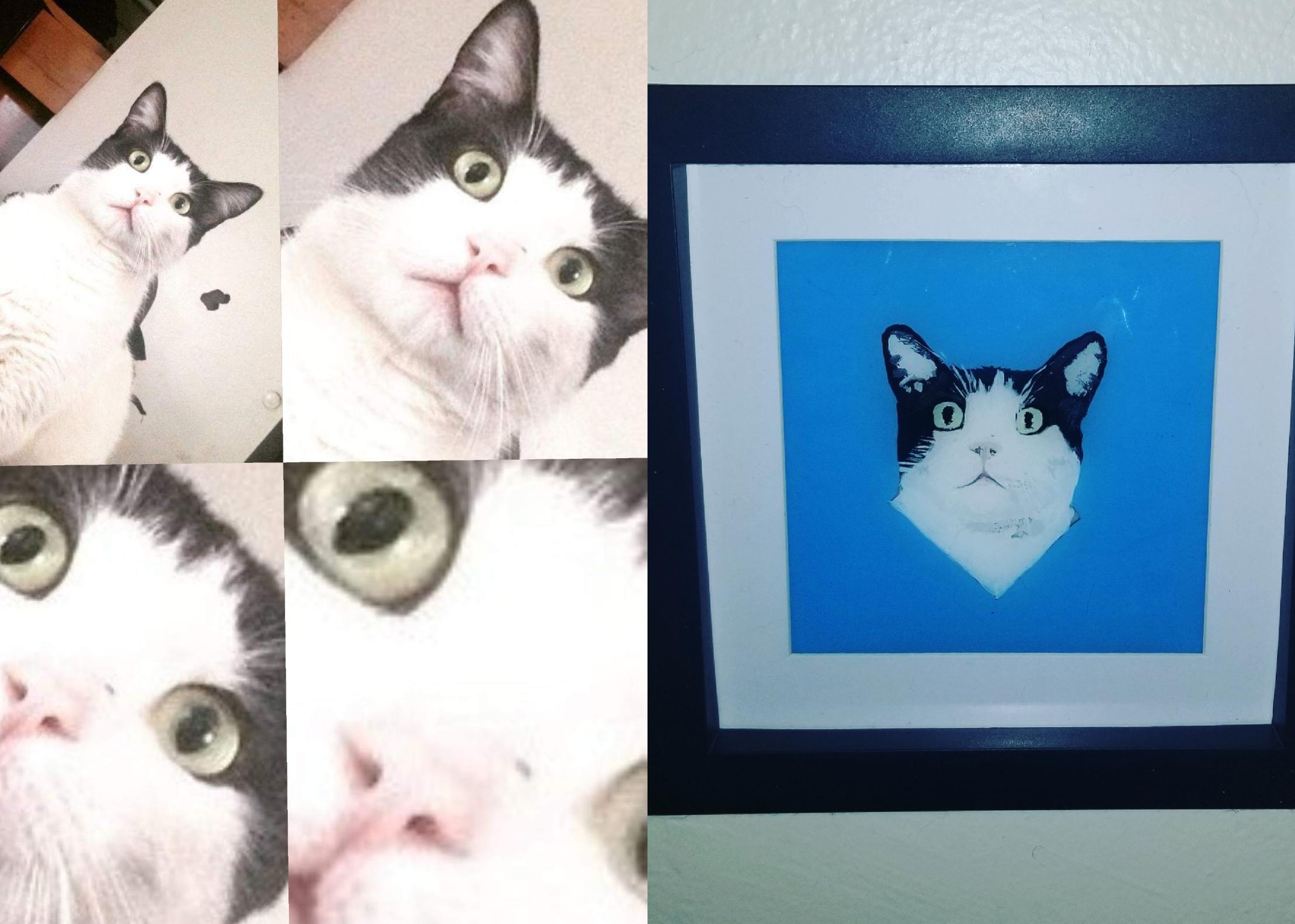 Woke up many years ago after a night of partying and my cat pocket was