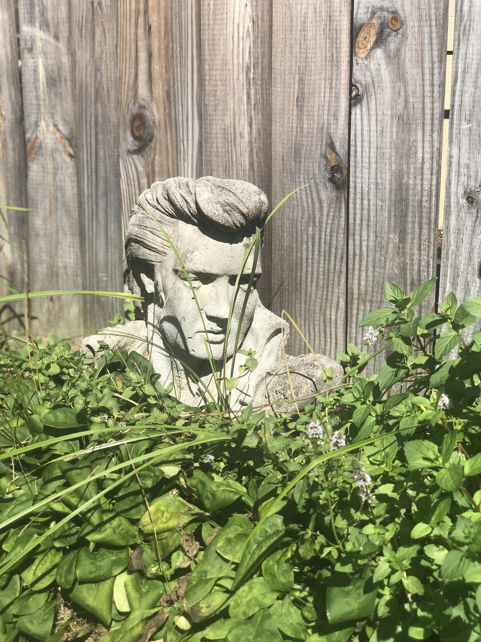 This bust of Elvis as a garden decoration. mildlyinteresting