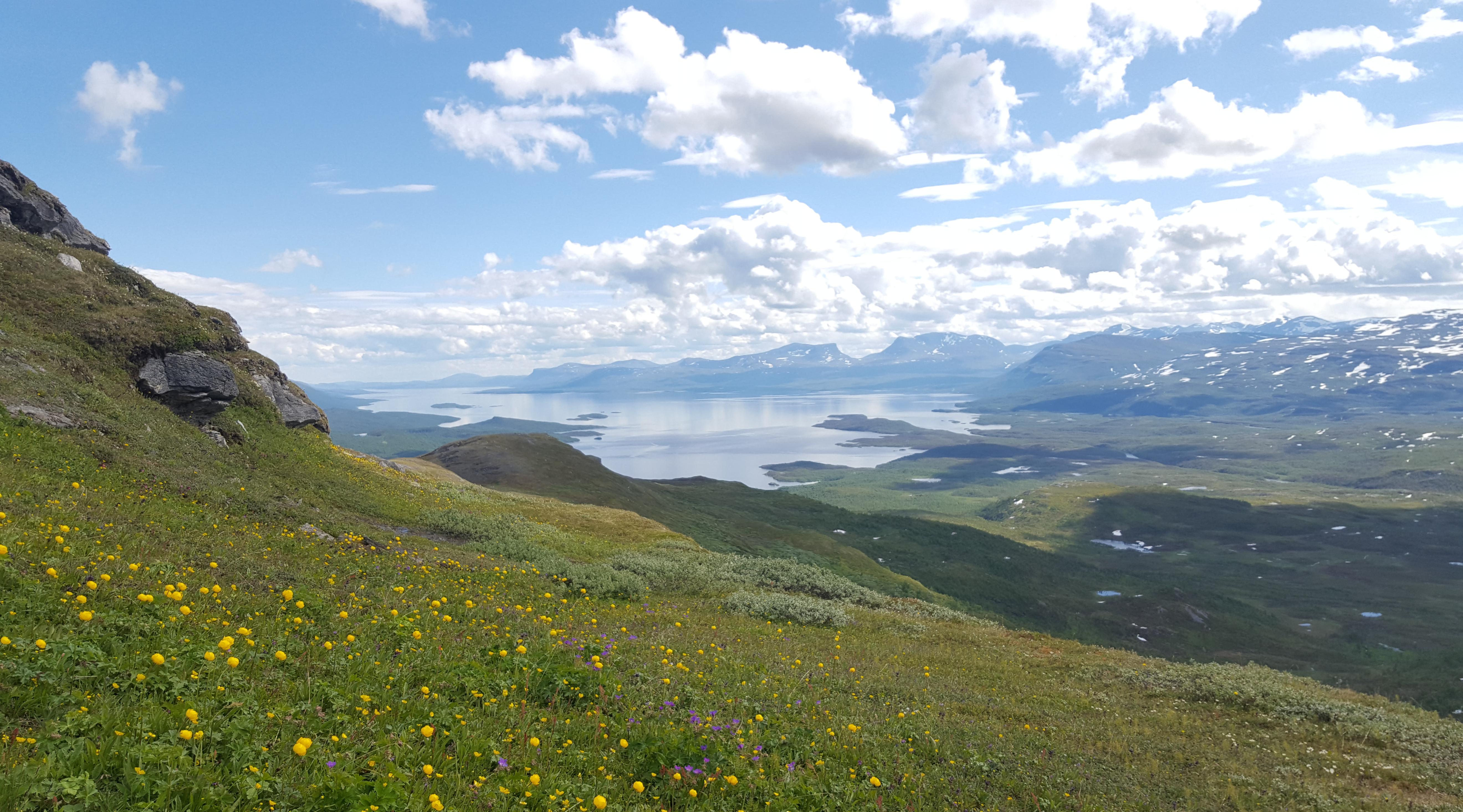 Abisko, Sweden 2020 [OC][5280x2931] r/EarthPorn