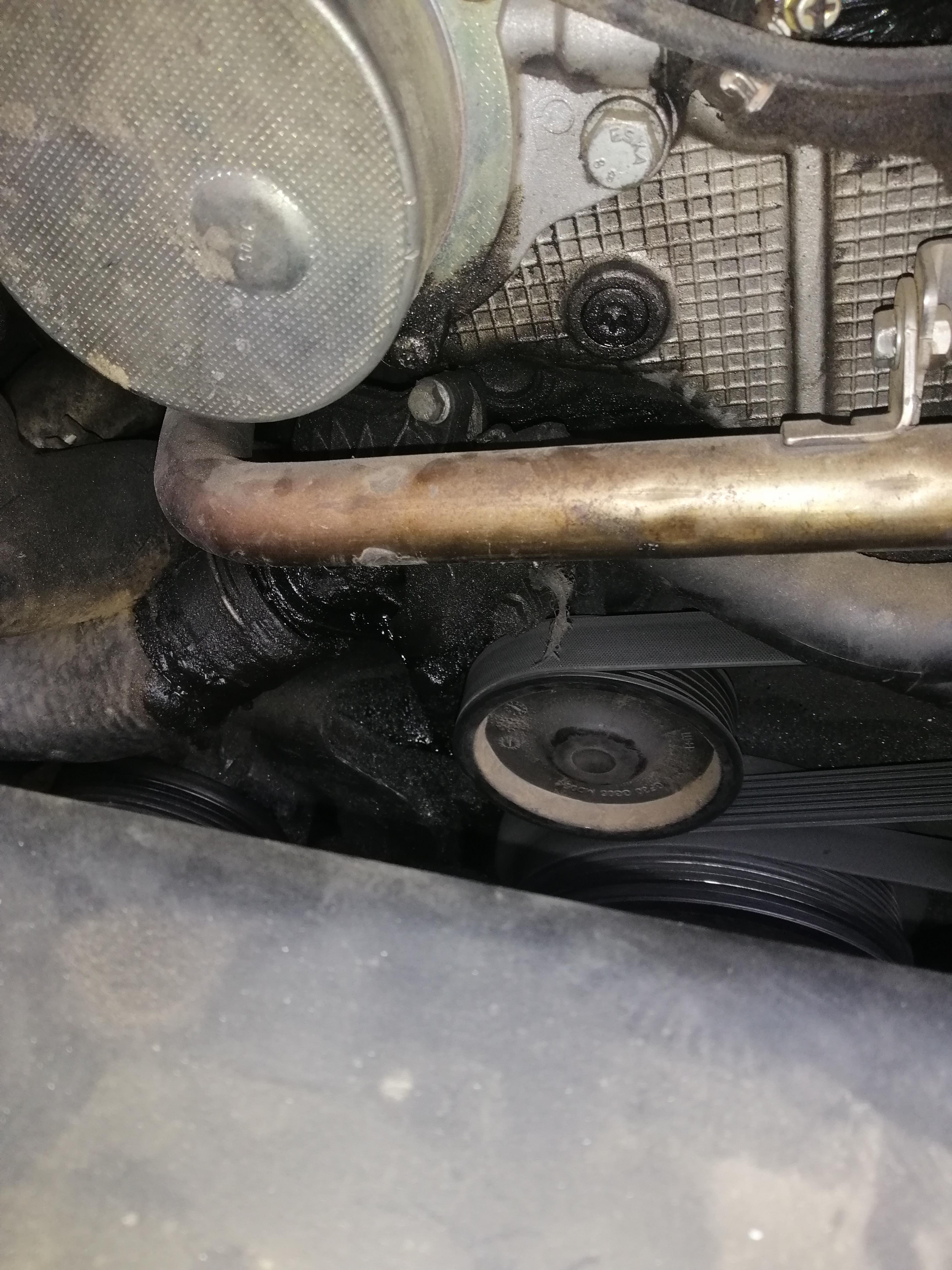 Where is the leak coming from ? E46 320d r/BmwTech