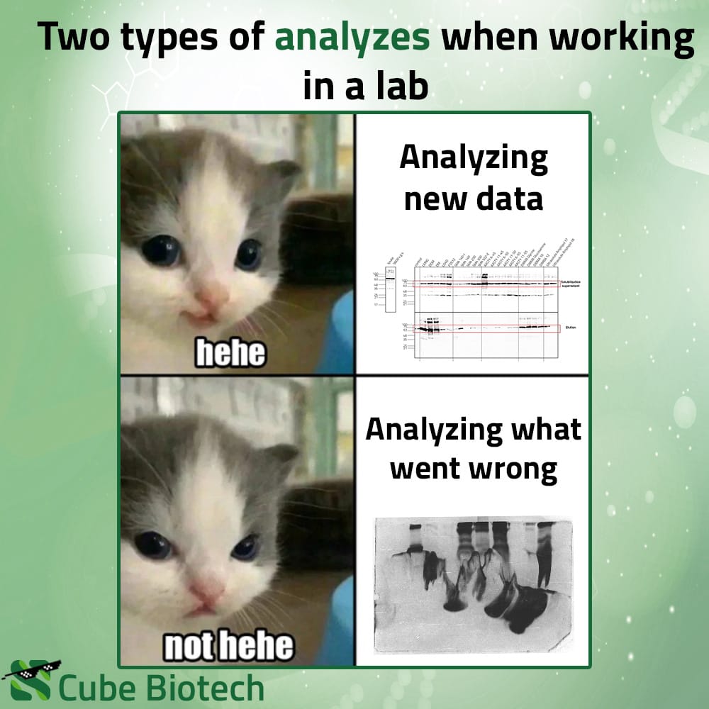 Two types of analyzes when working in a lab [Meme] r/labrats
