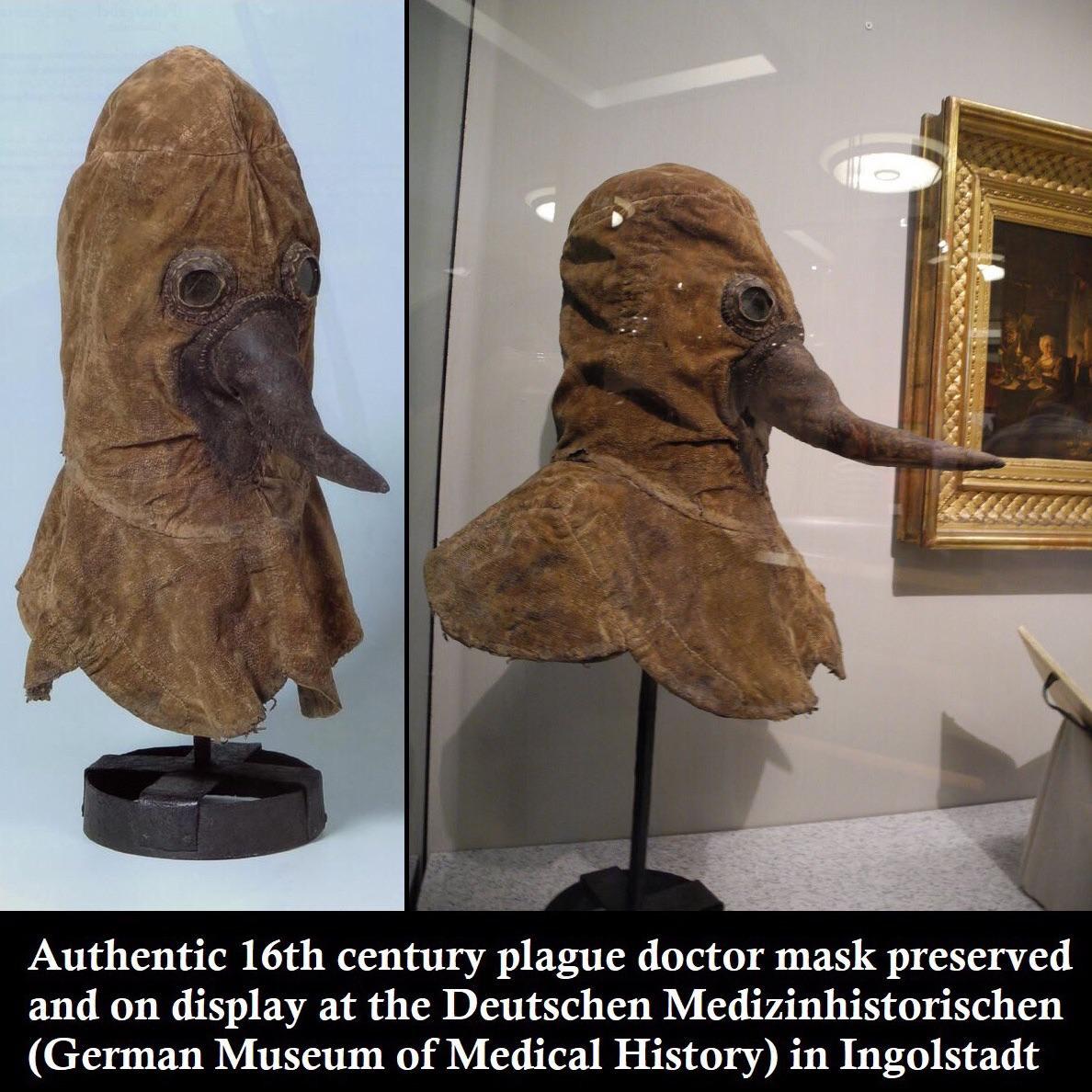 Nobody knows what plague doctor masks really looked like... r