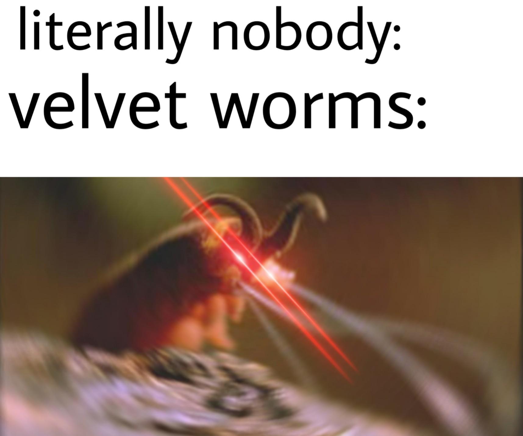 Velvet worms are good pets don't me r/Lithuaniakittens