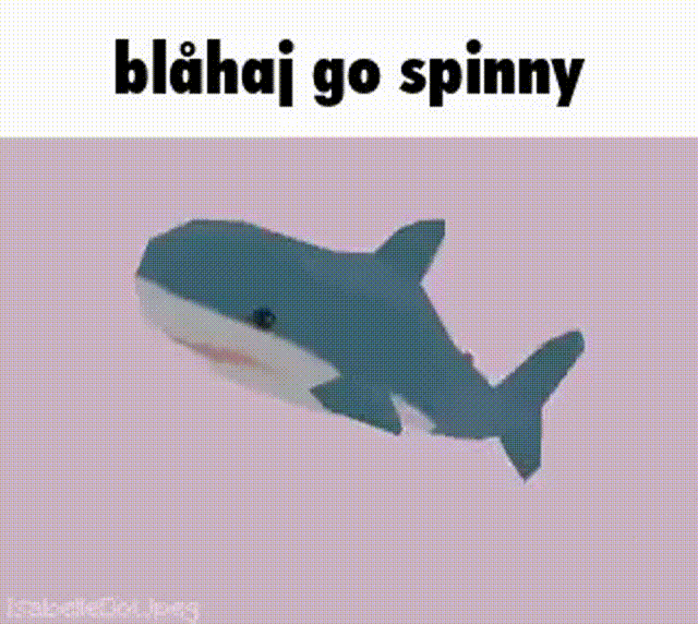 Blahaj go spinny r/4tran4