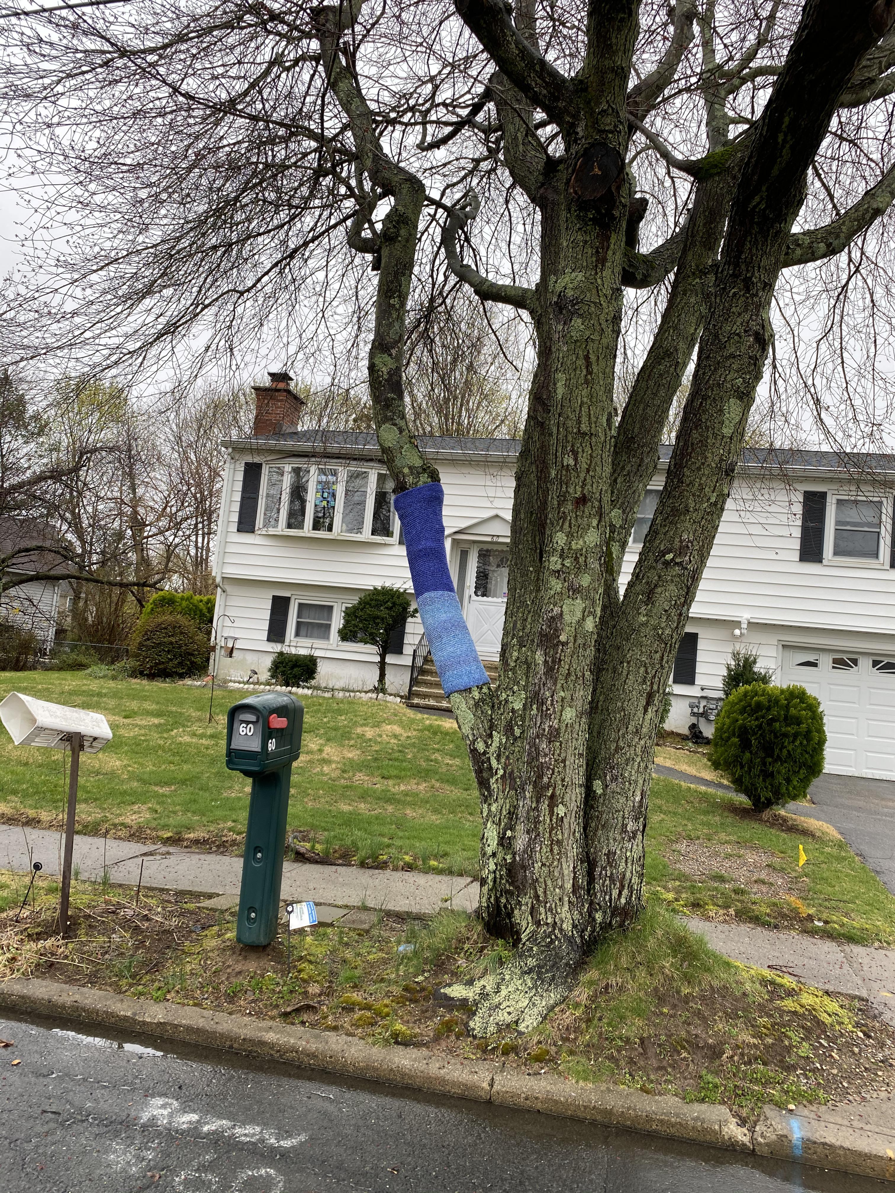 Meanwhile in quarantine... r/Connecticut