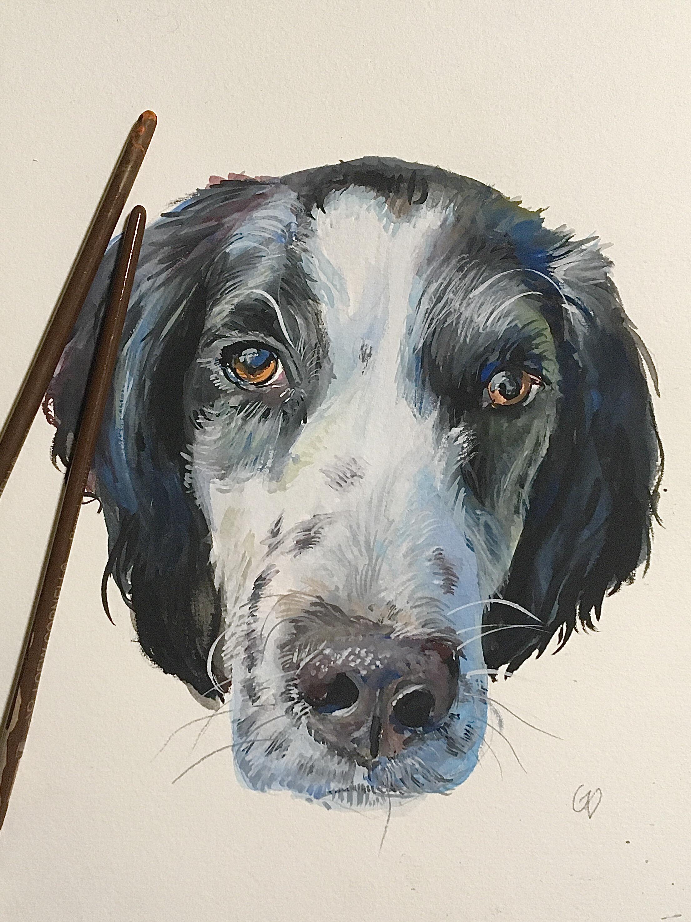 I painted my dog! r/Gouache